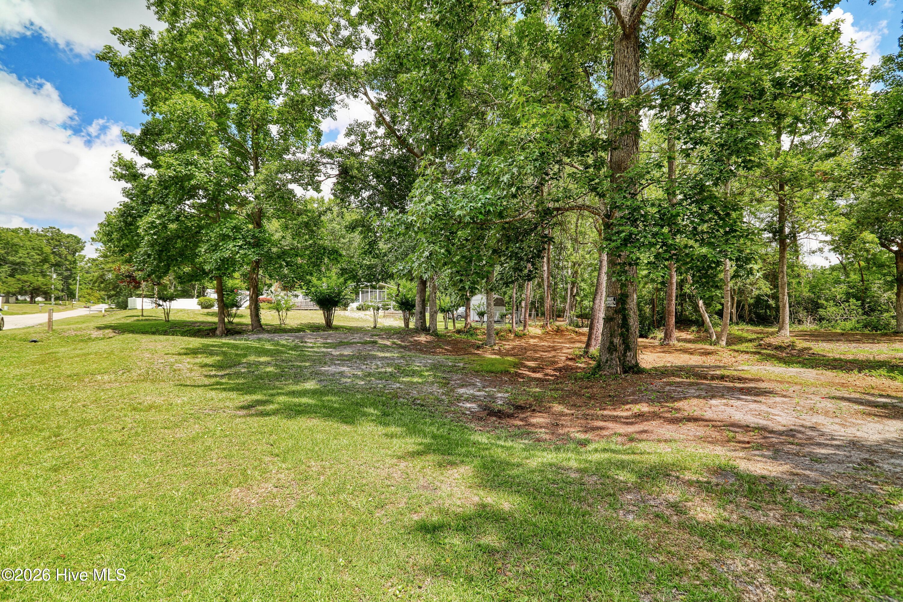 100568147 | Photo 53