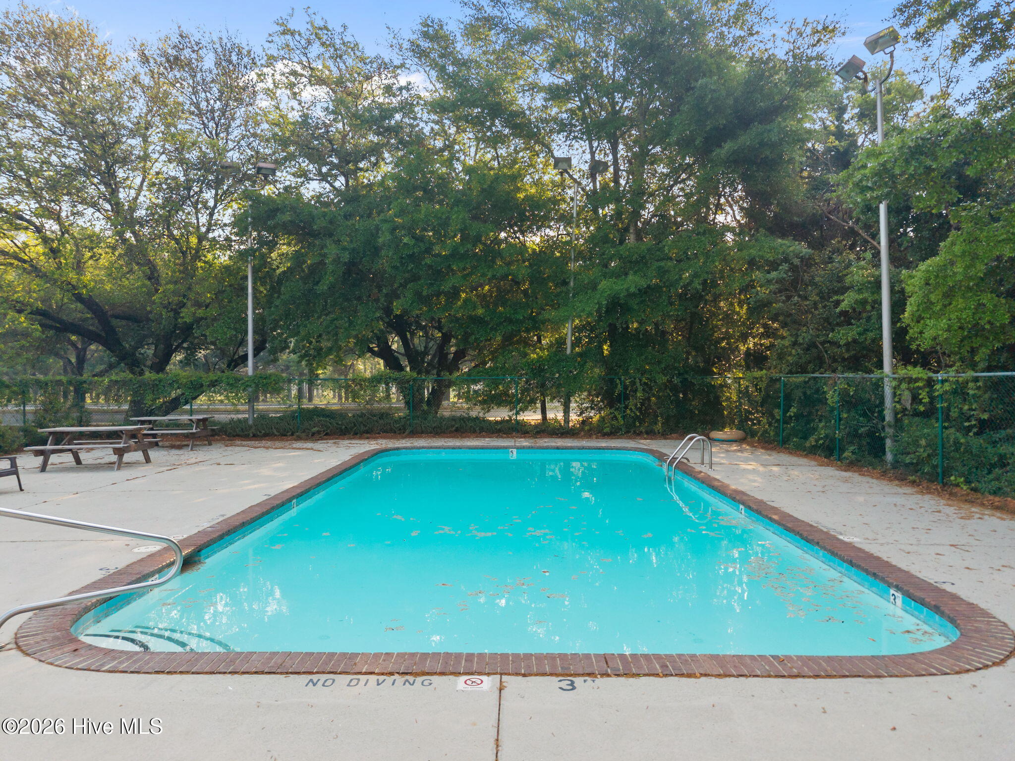 100566557 | Photo 30