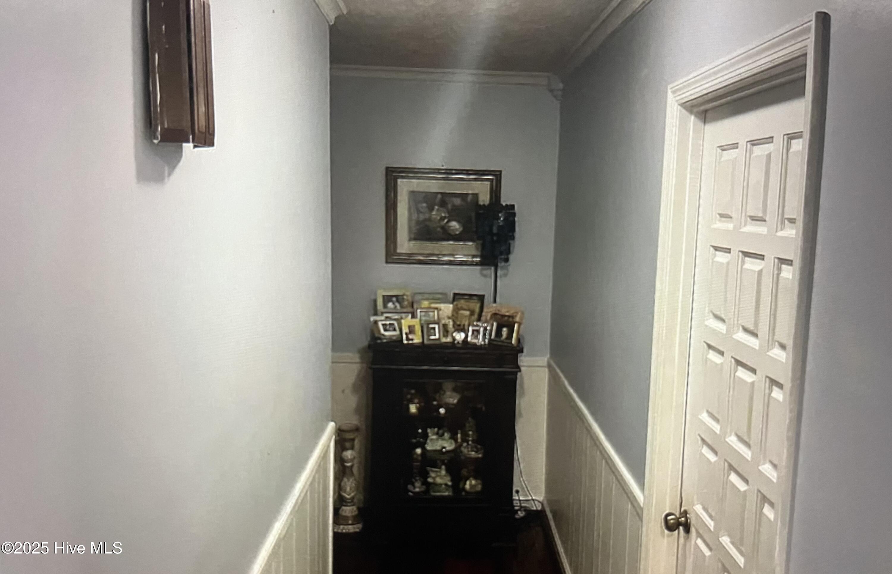 100529800 | Photo 18