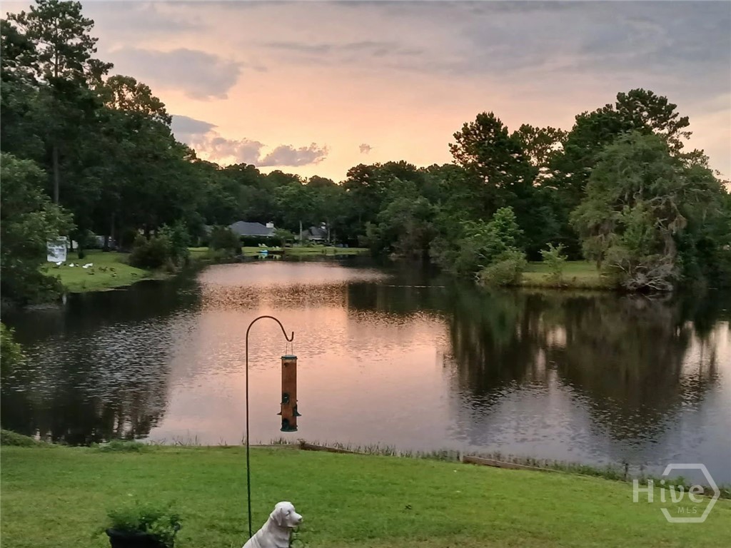 Lake View - Seller Photo