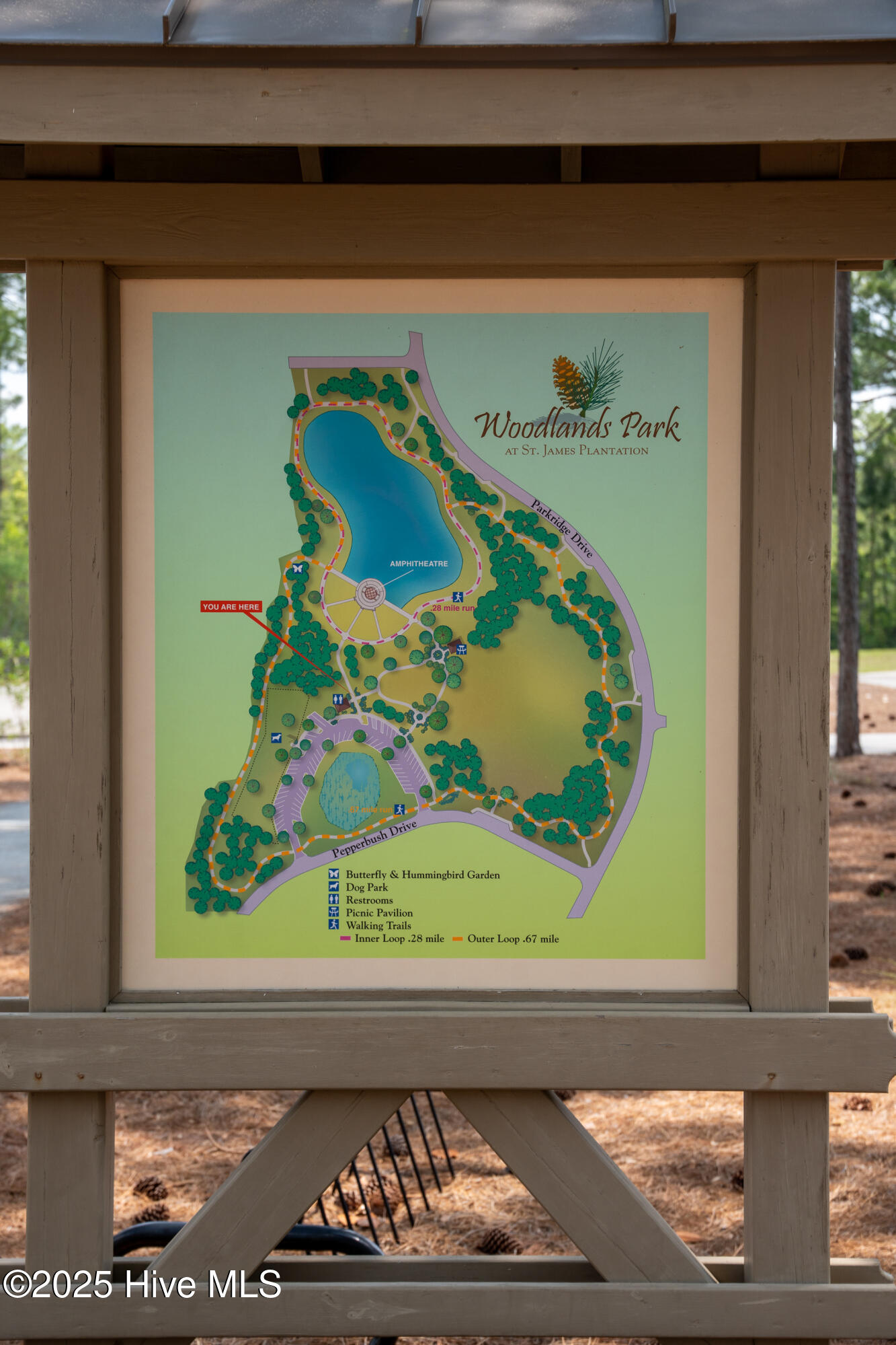 100543771 | Photo 82