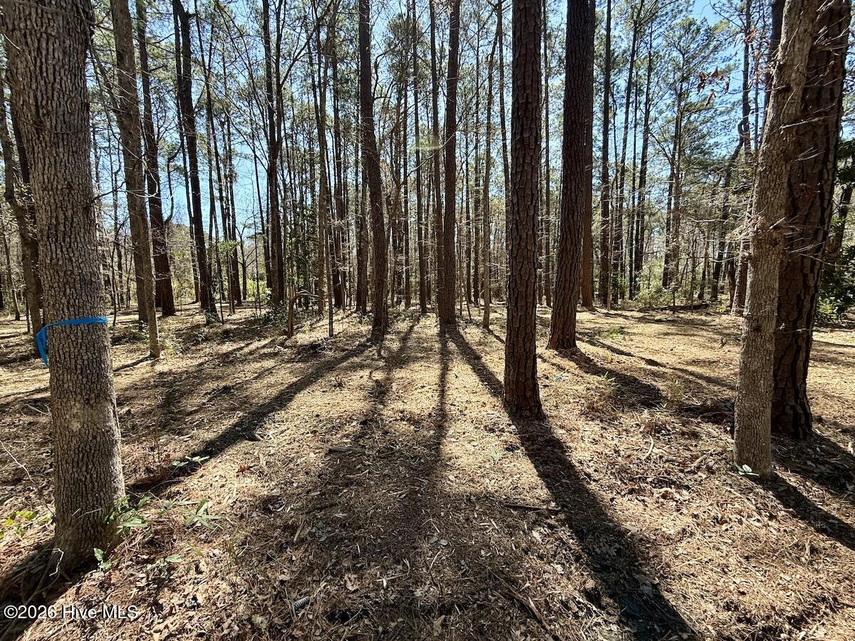 0 Lot 2 Creek Place Road,Arapahoe