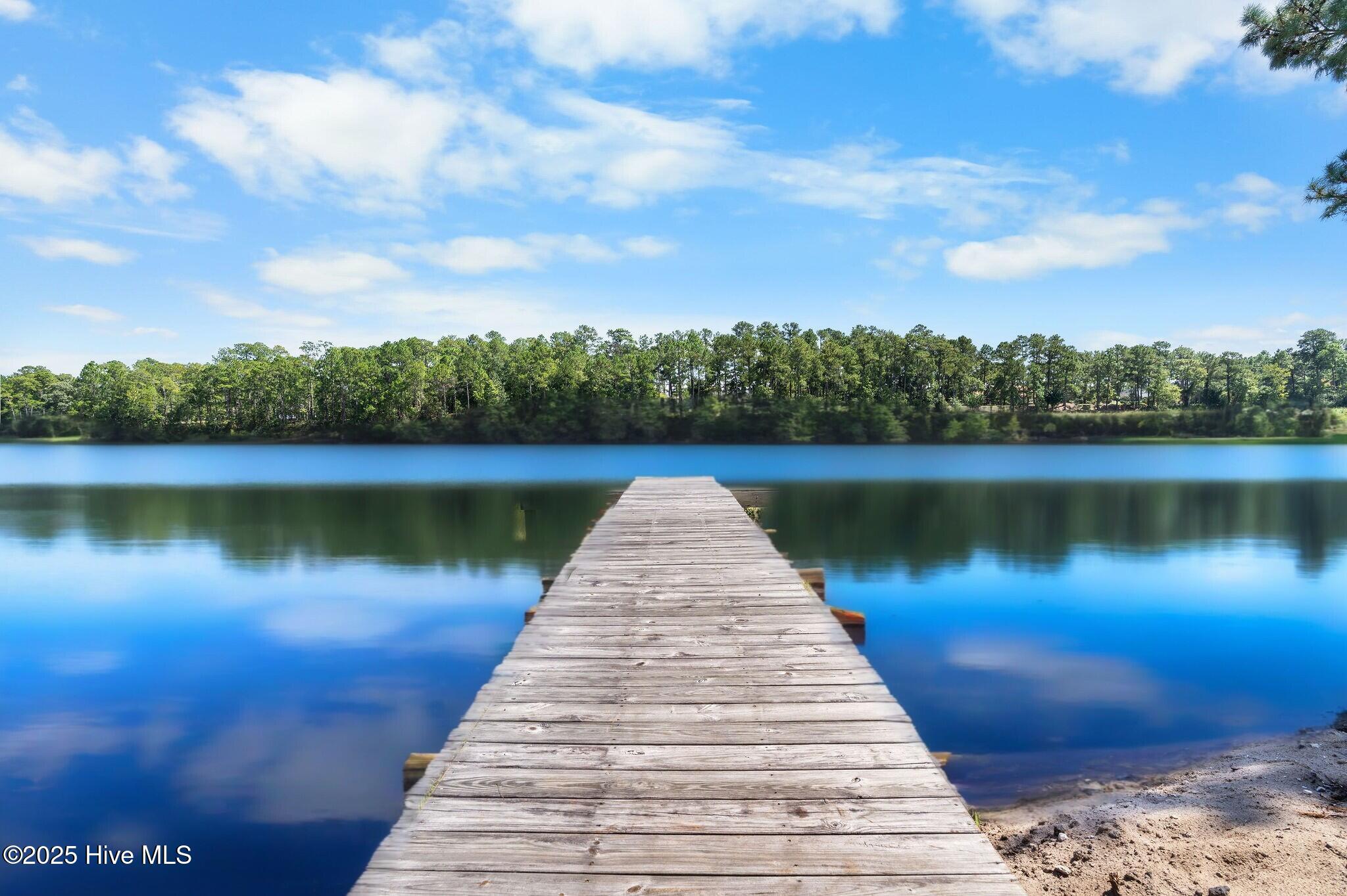 100526729 | Photo 86