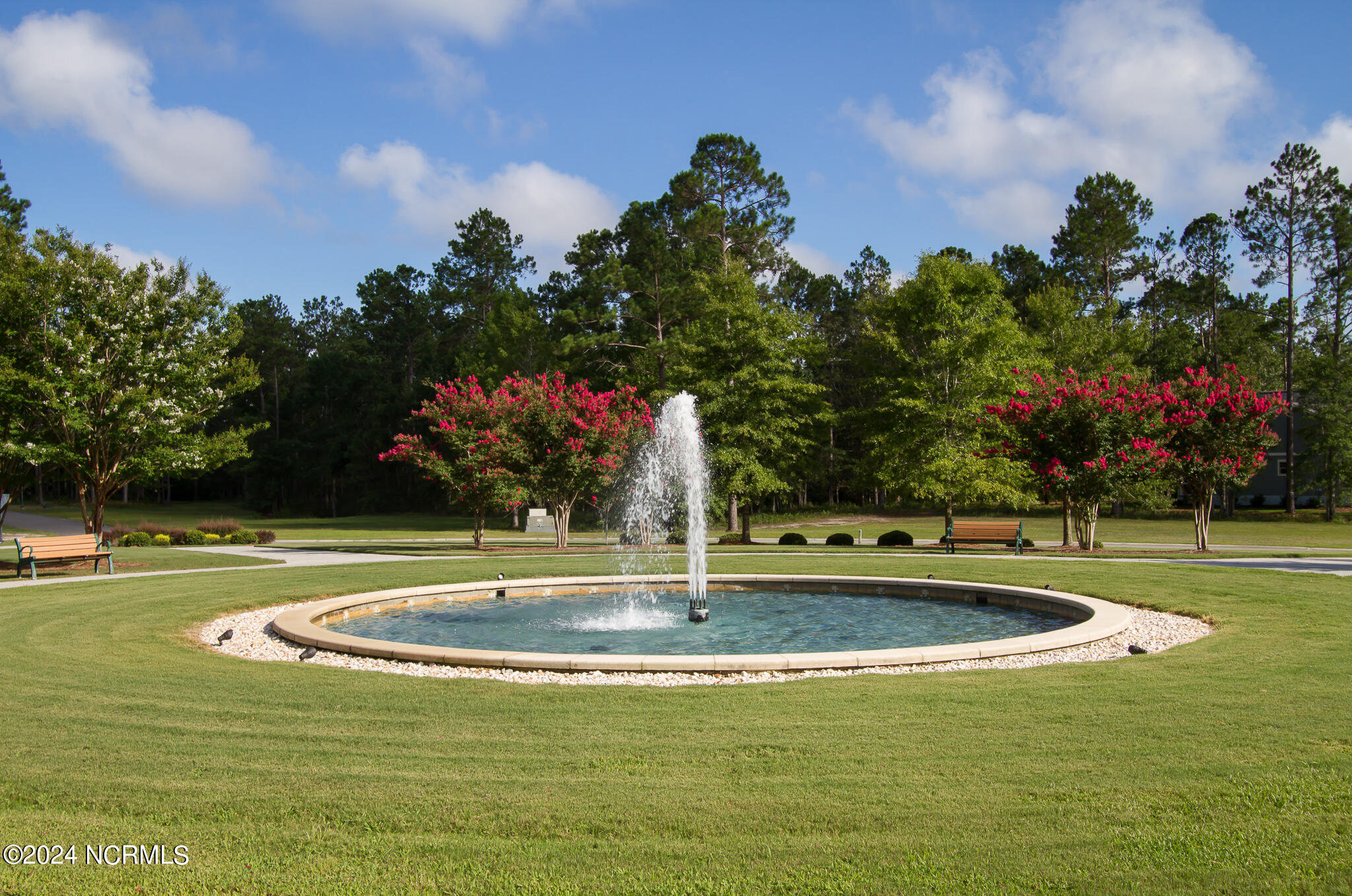 100455886 | Photo 18