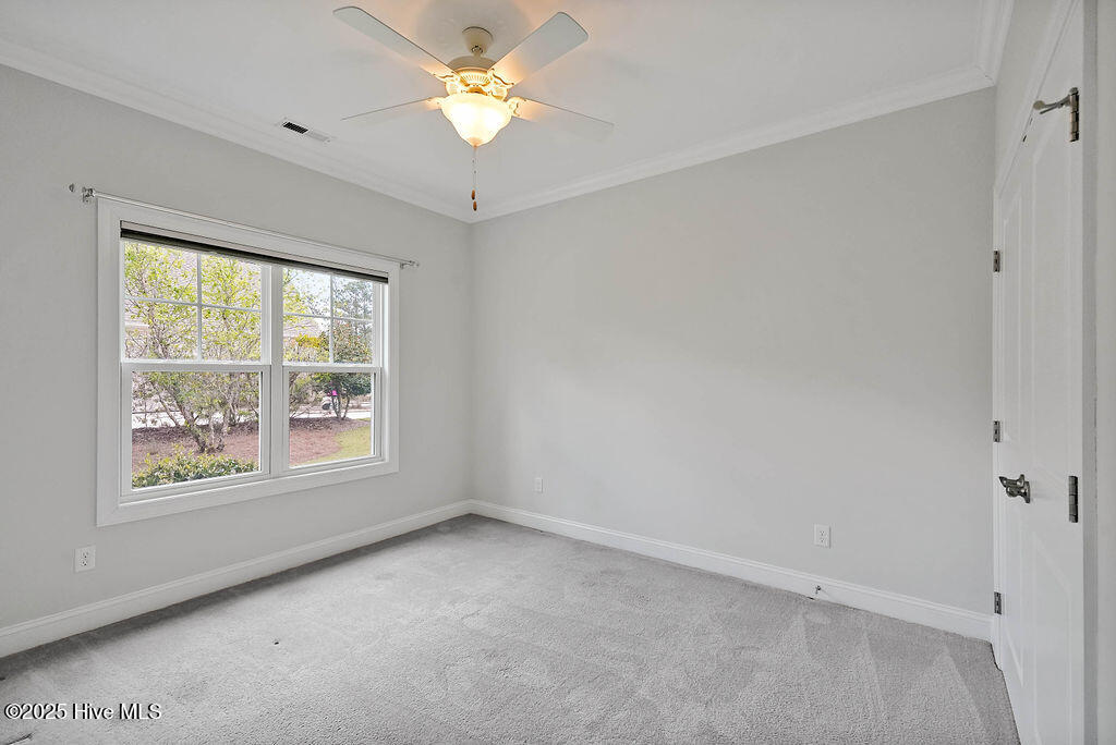 100550023 | Photo 16