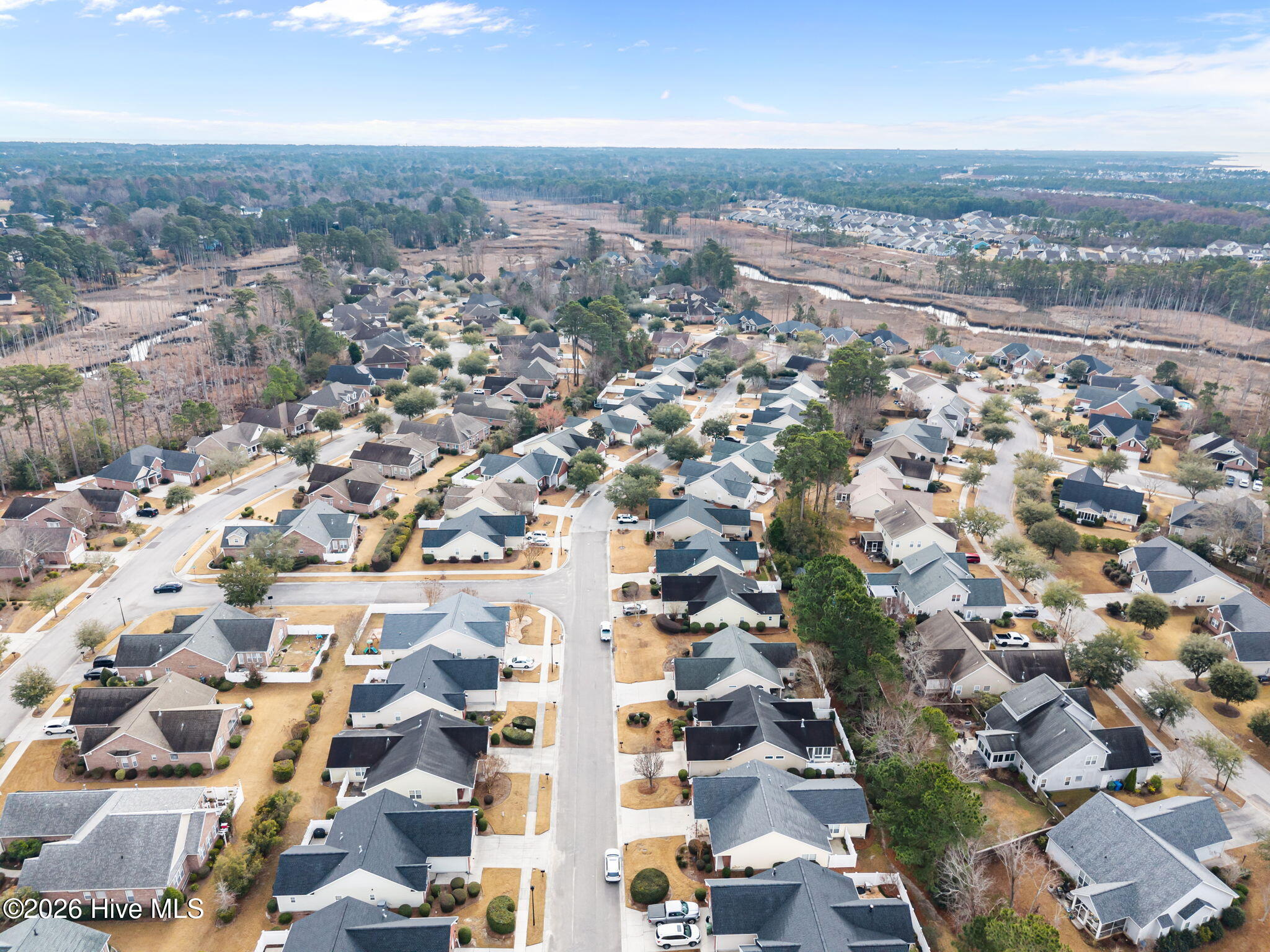 100549598 | Photo 53