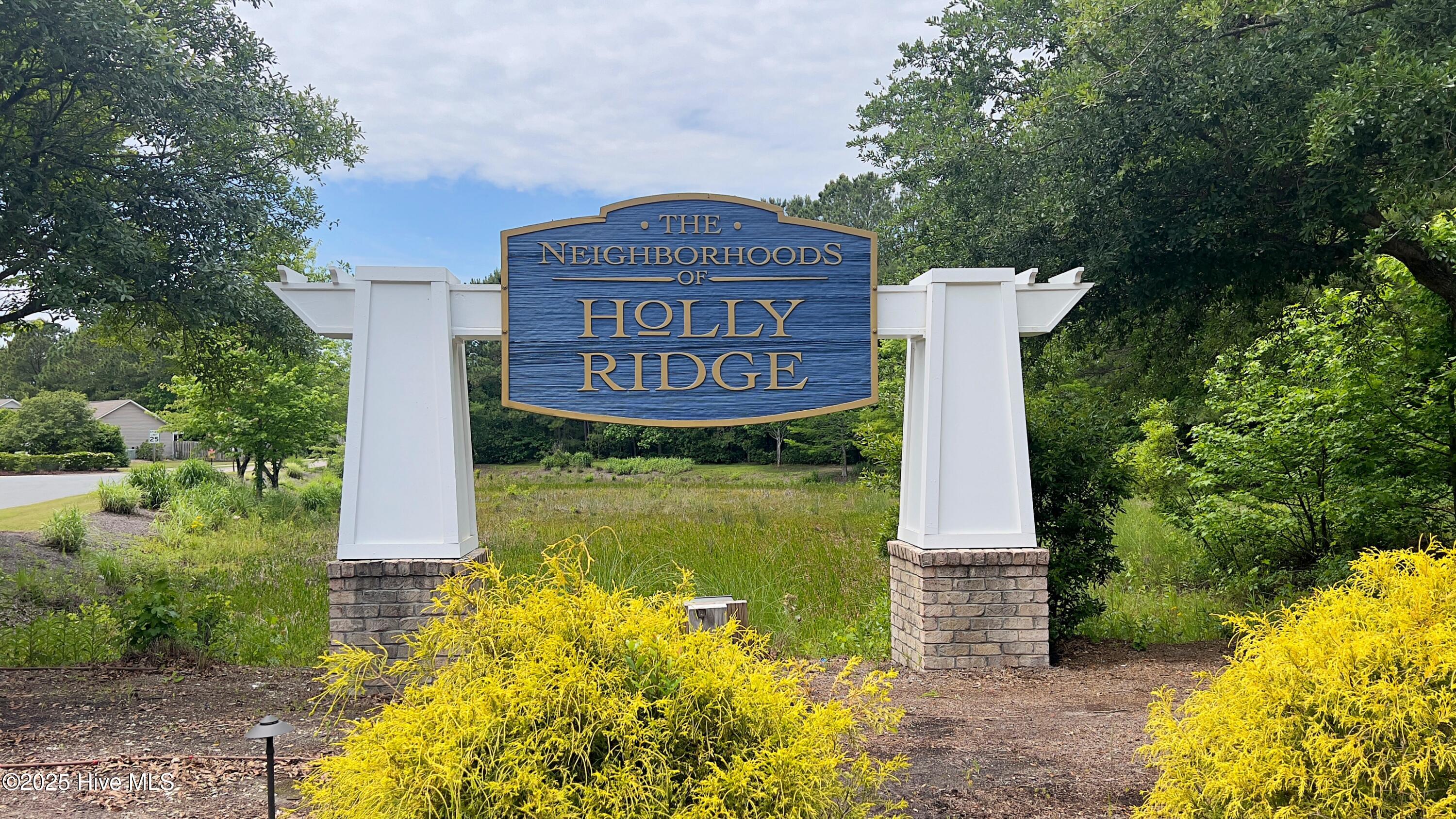 100506631 | Photo 30