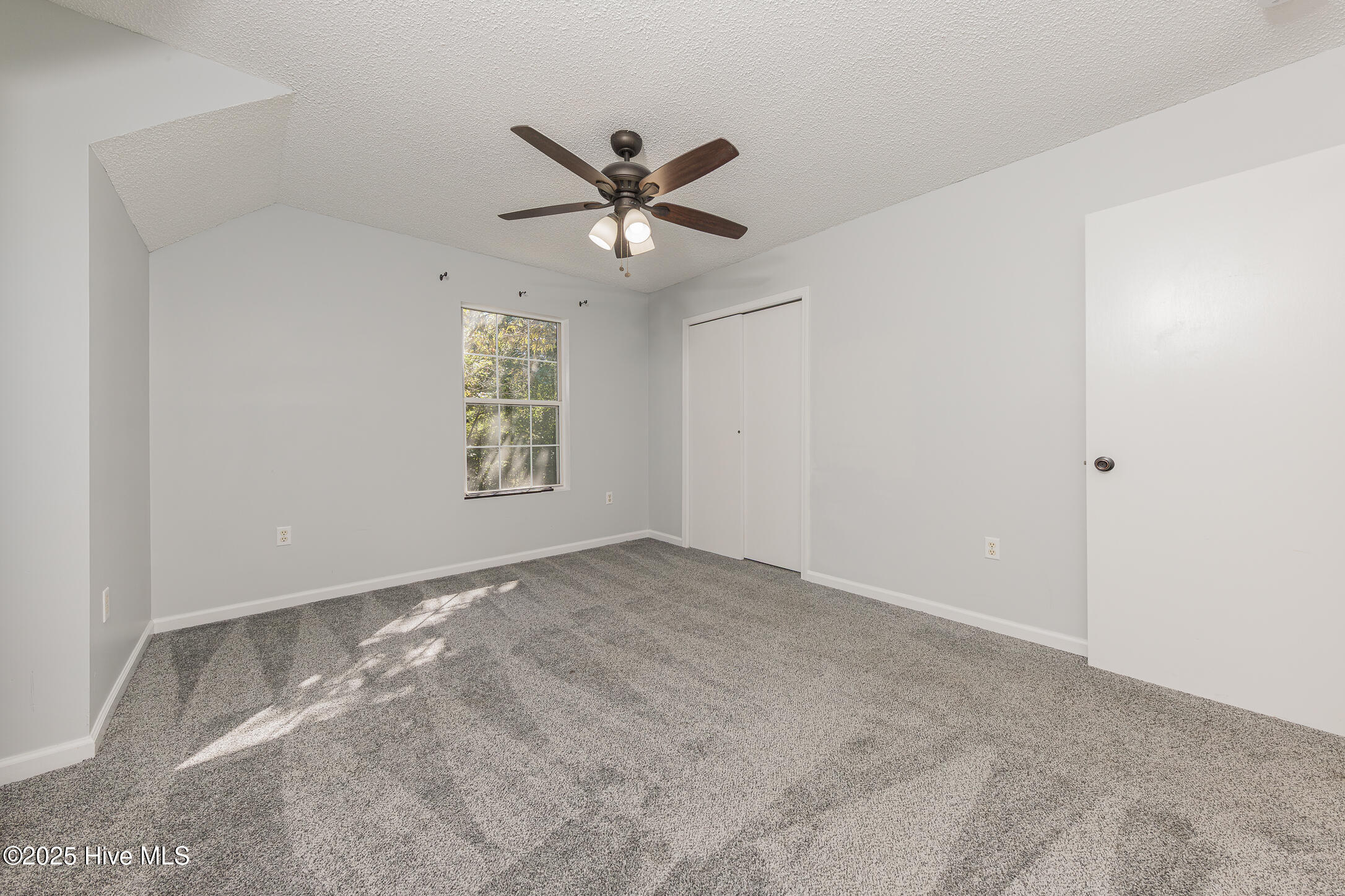 100537382 | Photo 24