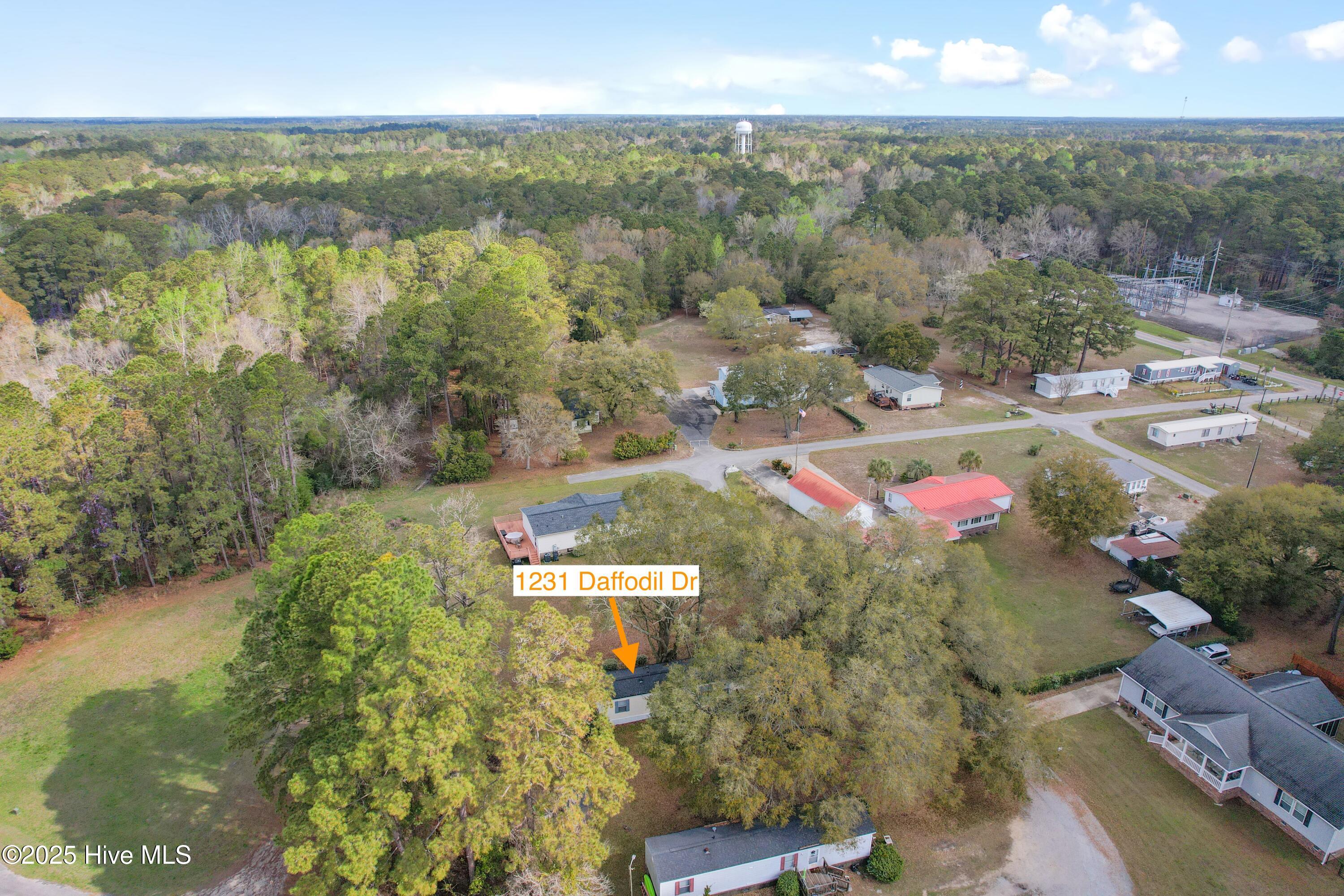 100499623 | Photo 25