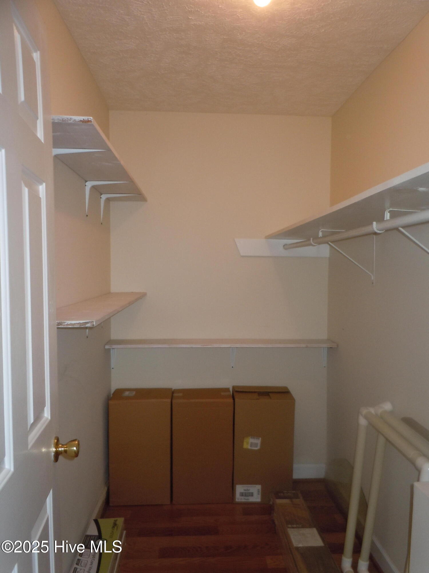 100528671 | Photo 33