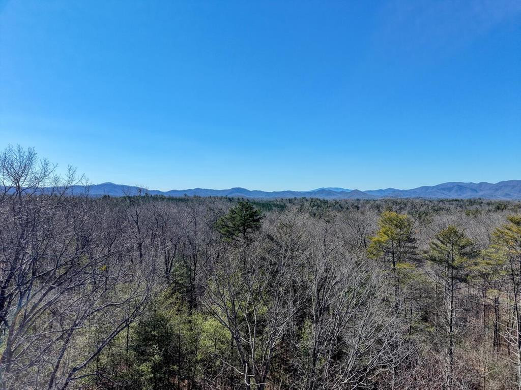 105 Liberty Road, Murphy, NC 28906 Listing Photo  6
