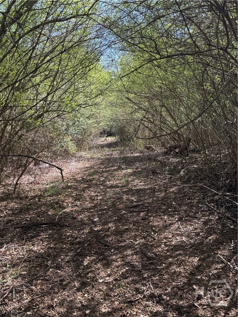 738 Old Mineral Springs Road, Elberton, GA, 30635