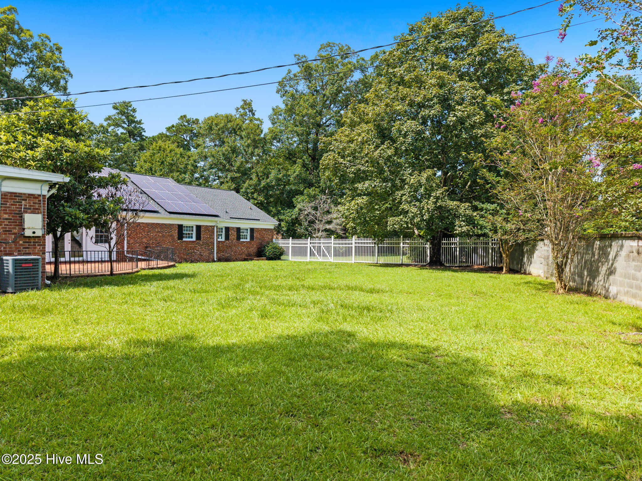 100526462 | Photo 62