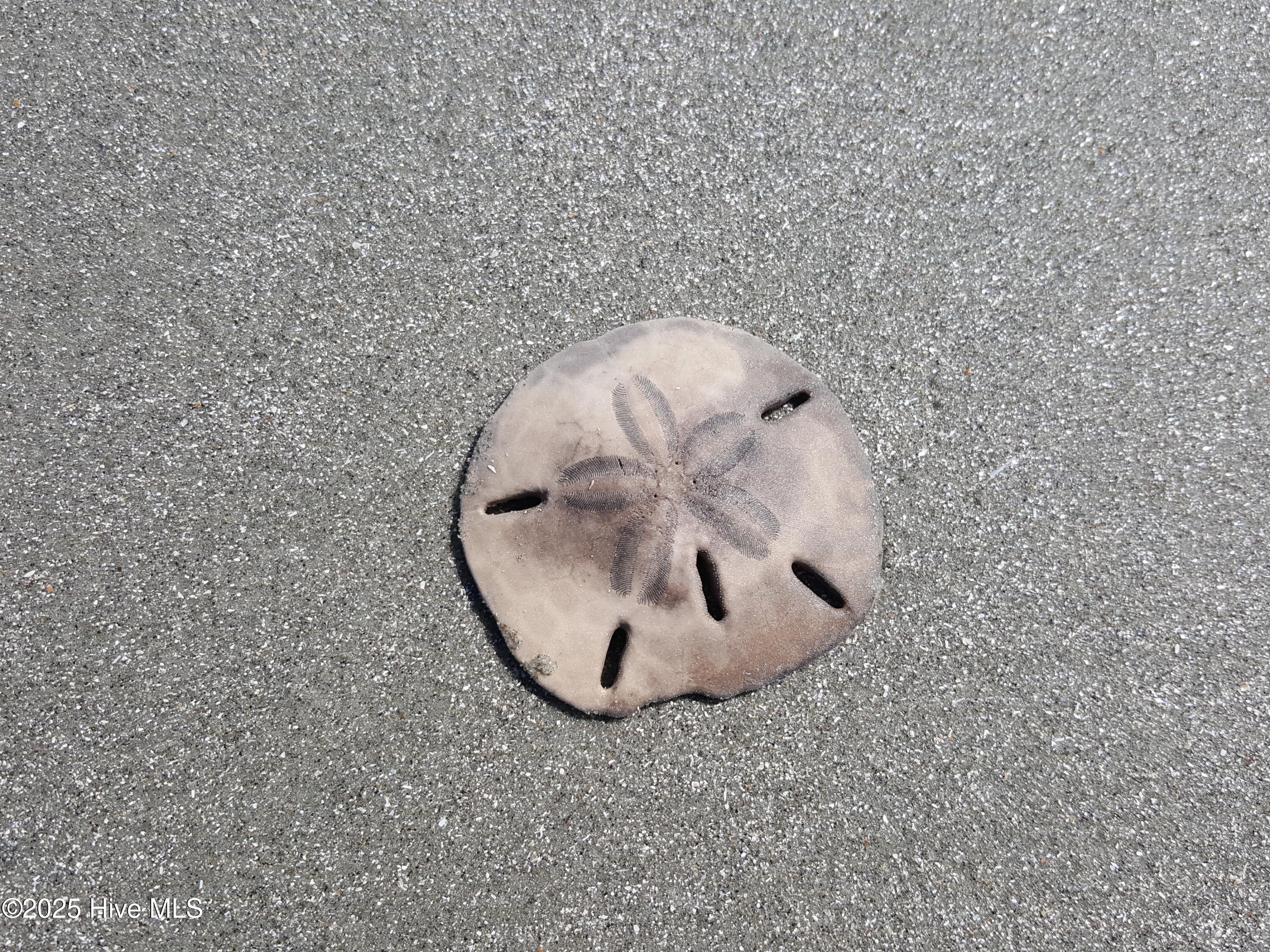 100542567 | Photo 68