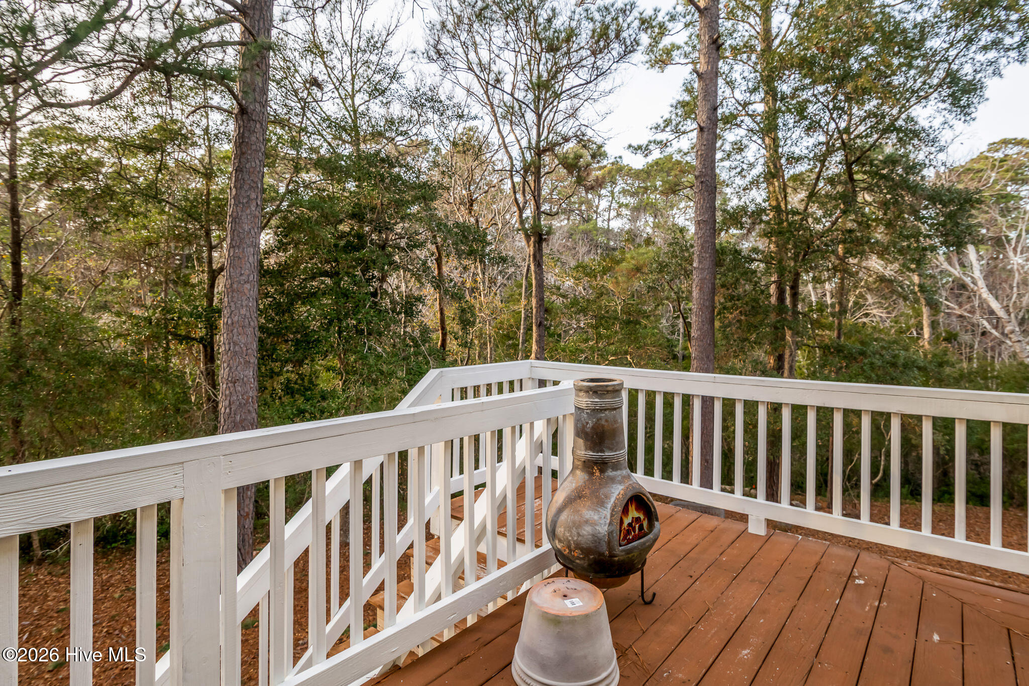 100549420 | Photo 41