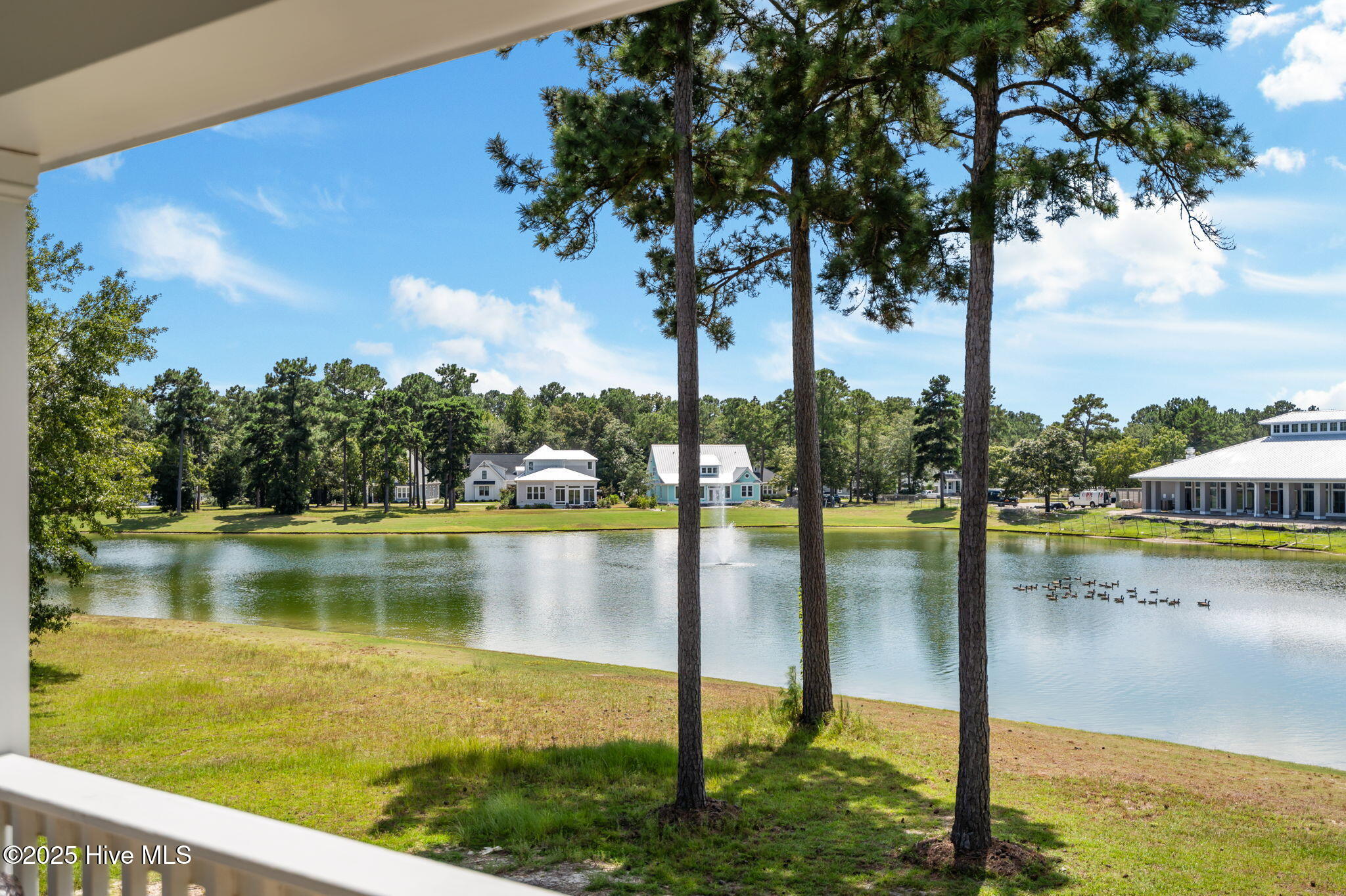 100526969 | Photo 53