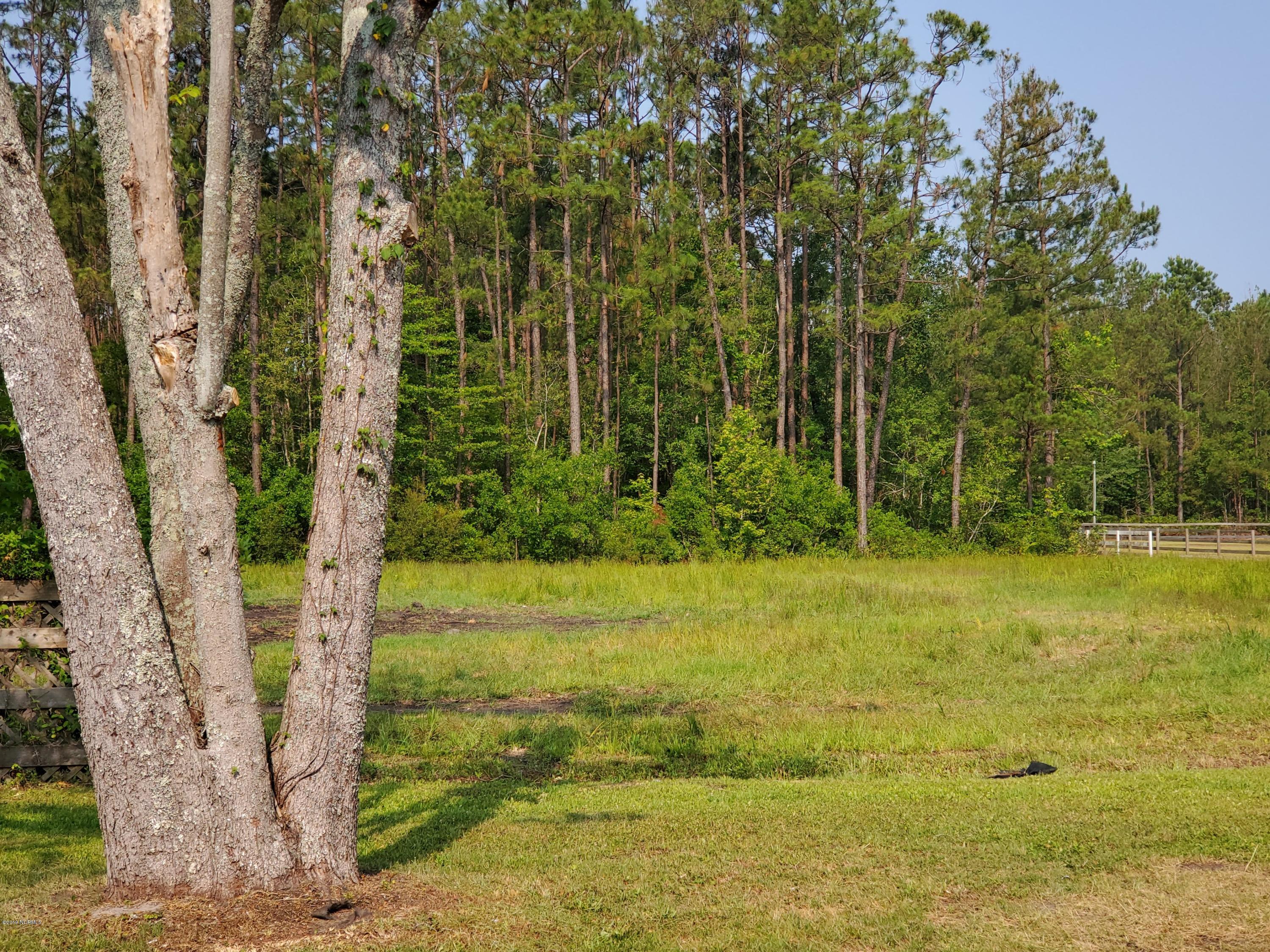 100527470 | Photo 37