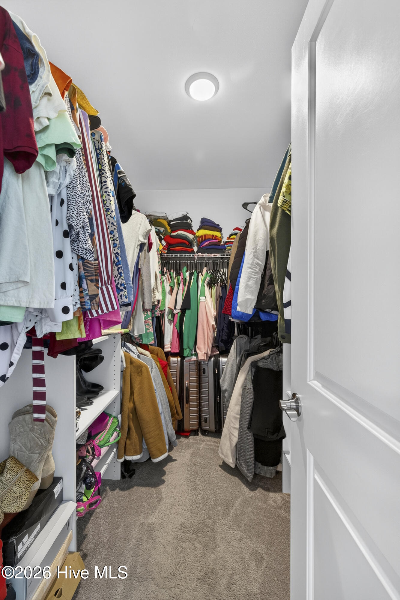 100563705 | Photo 22