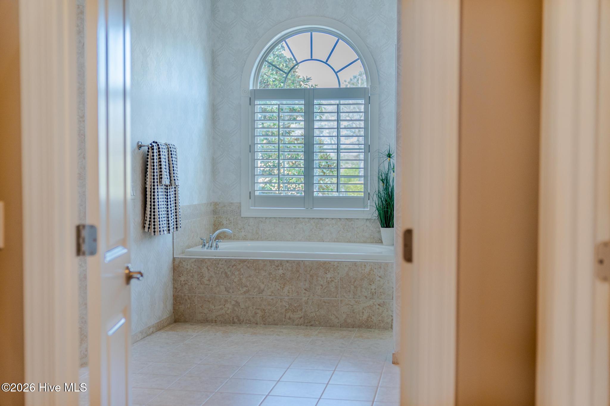 100559631 | Photo 26