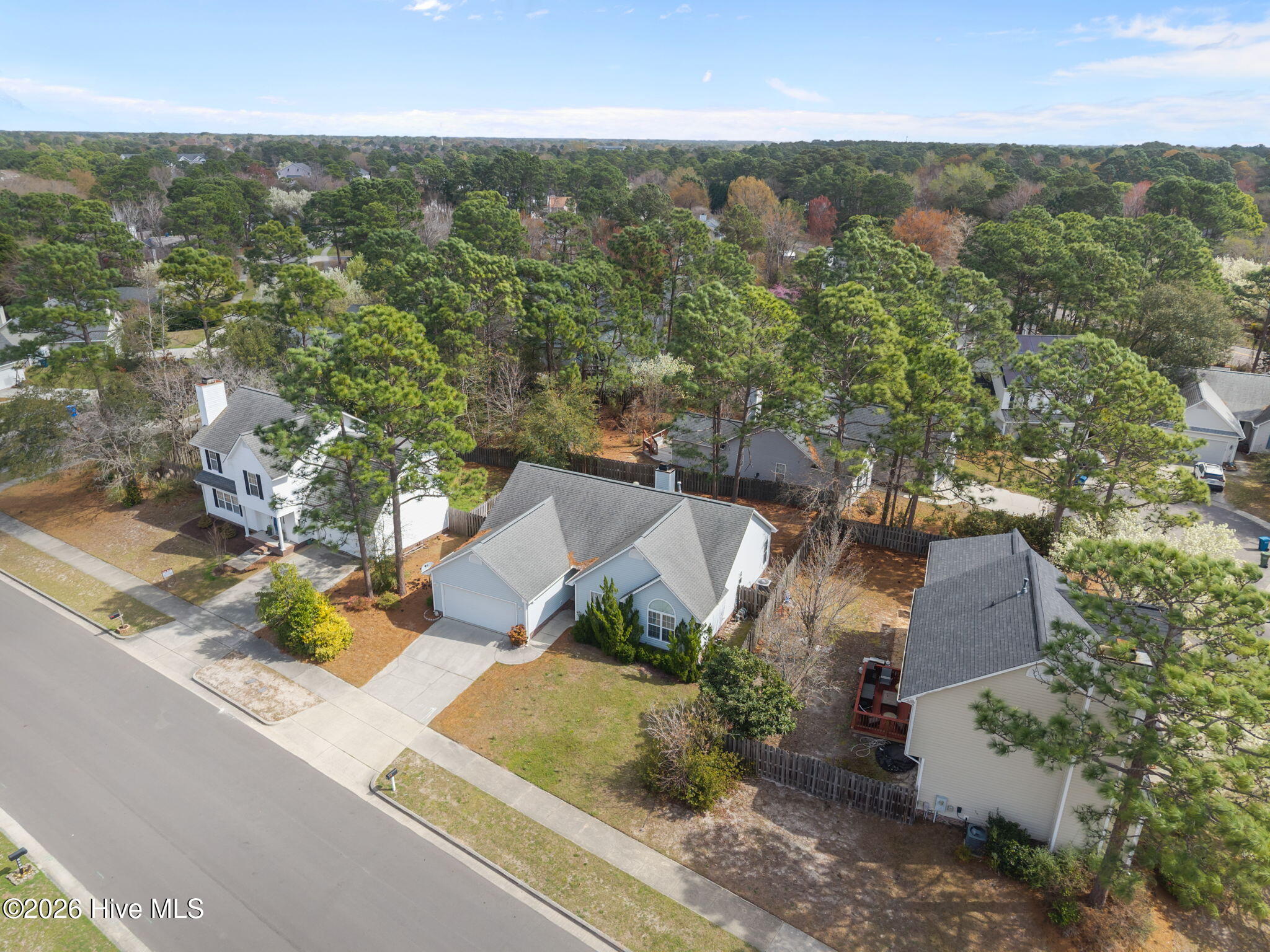 100560149 | Photo 46