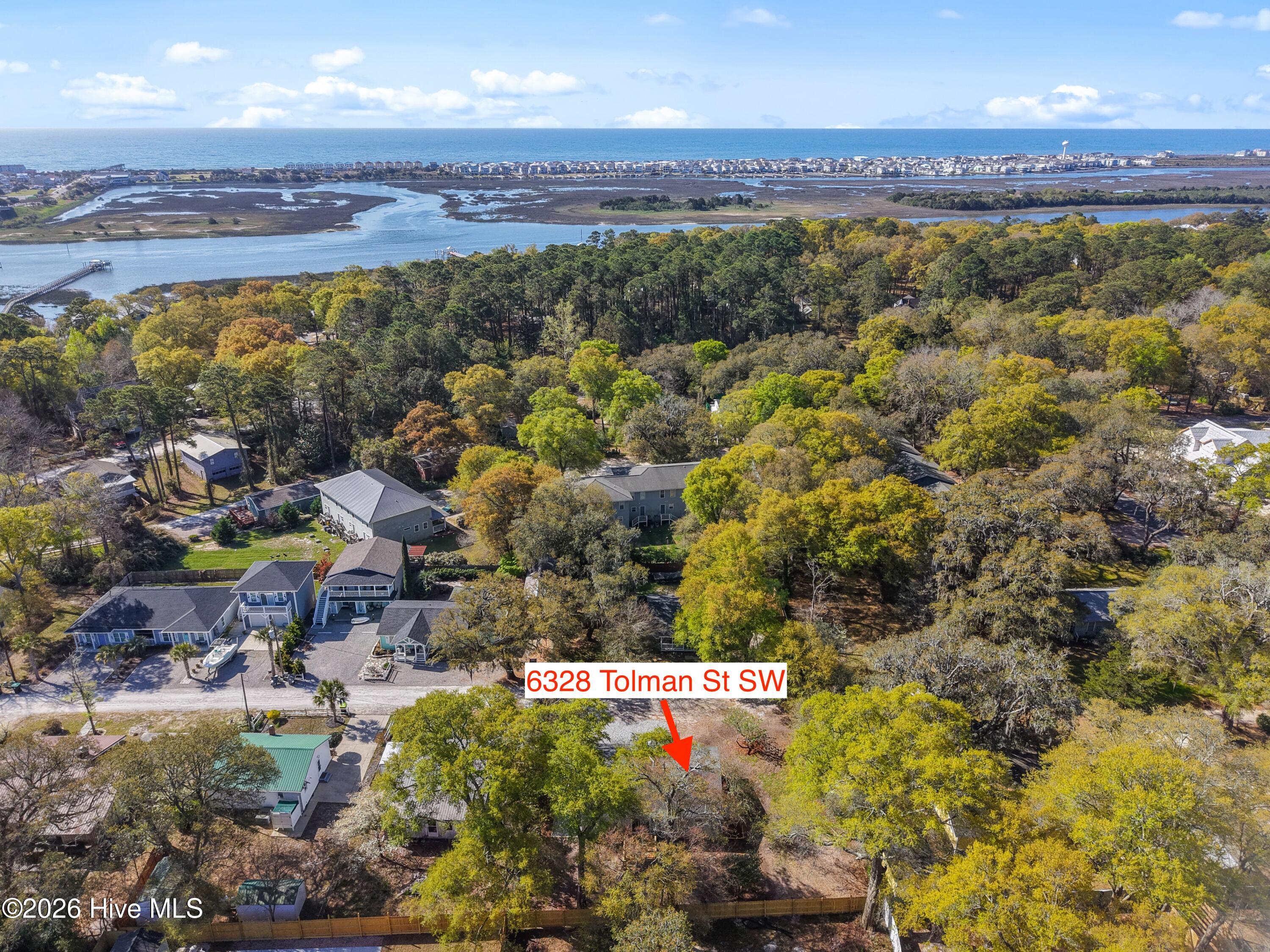 100564131 | Photo 39