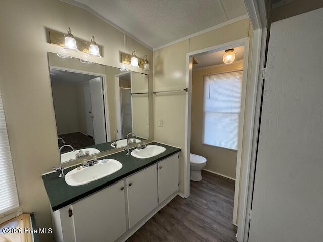 100548296 | Photo 13