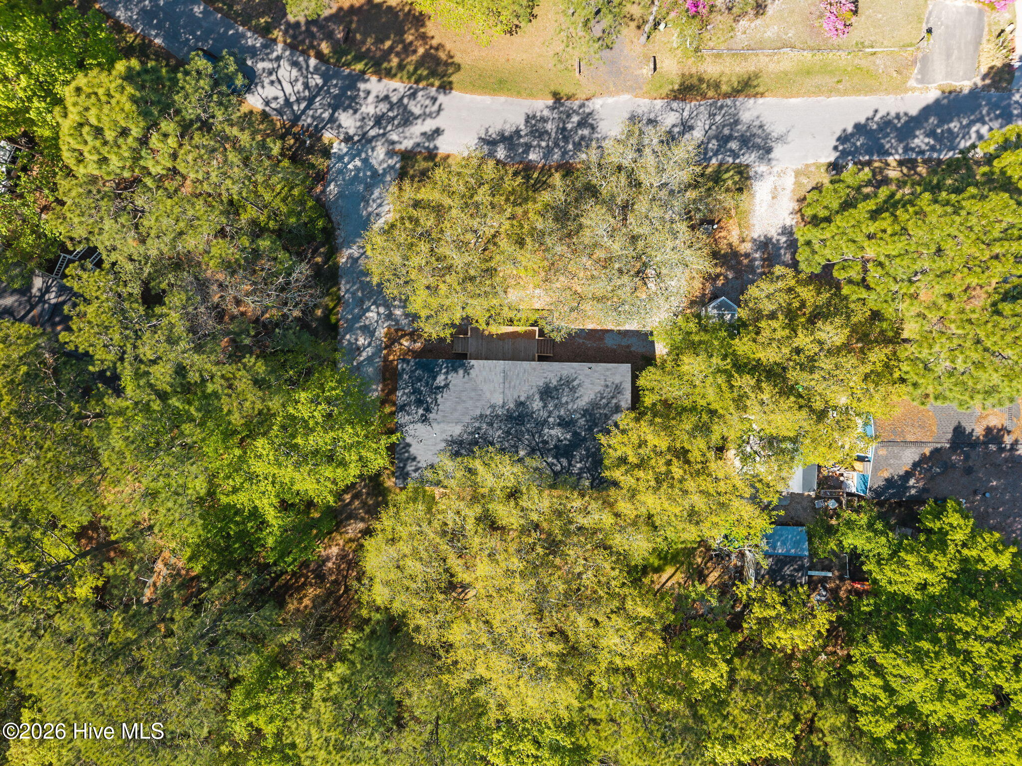 100569950 | Photo 34