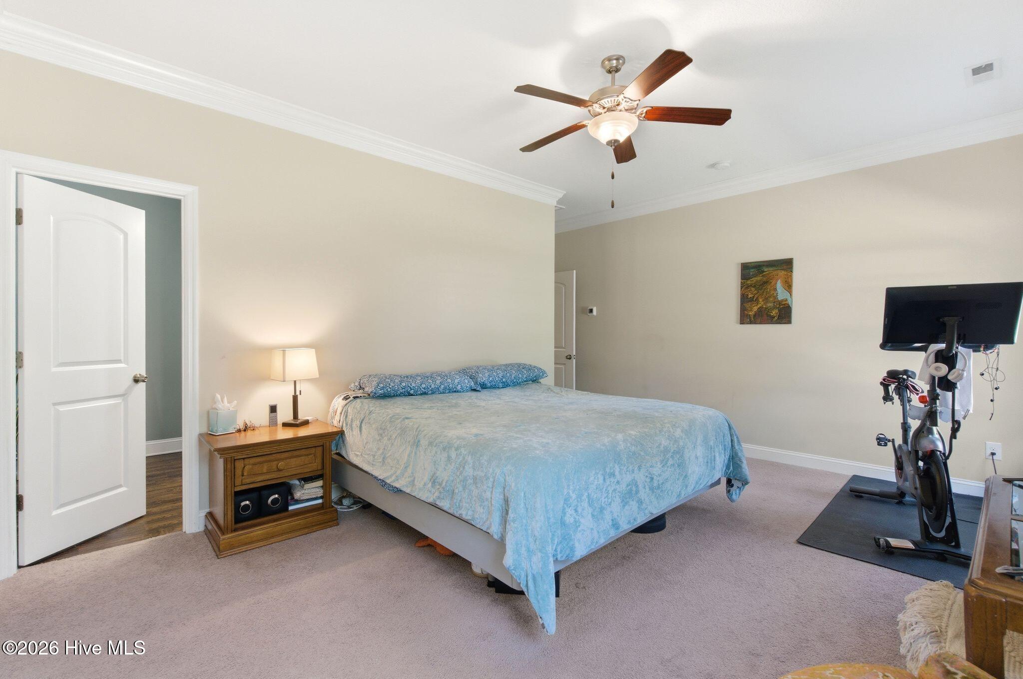 100558207 | Photo 19