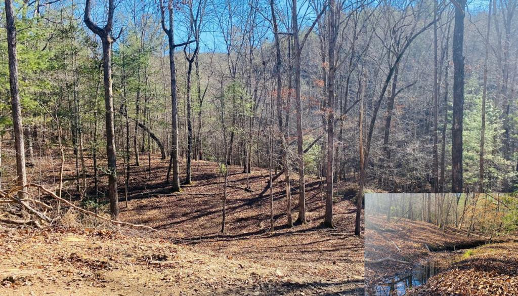 Lot 205 Windy Mountain Peak, Murphy, North Carolina, 0 ,For sale,Windy Mountain Peak,98523862 Lot 205 Windy Mountain Peak, Murphy, North Carolina, 0 ,For sale,Windy Mountain Peak,98523862
