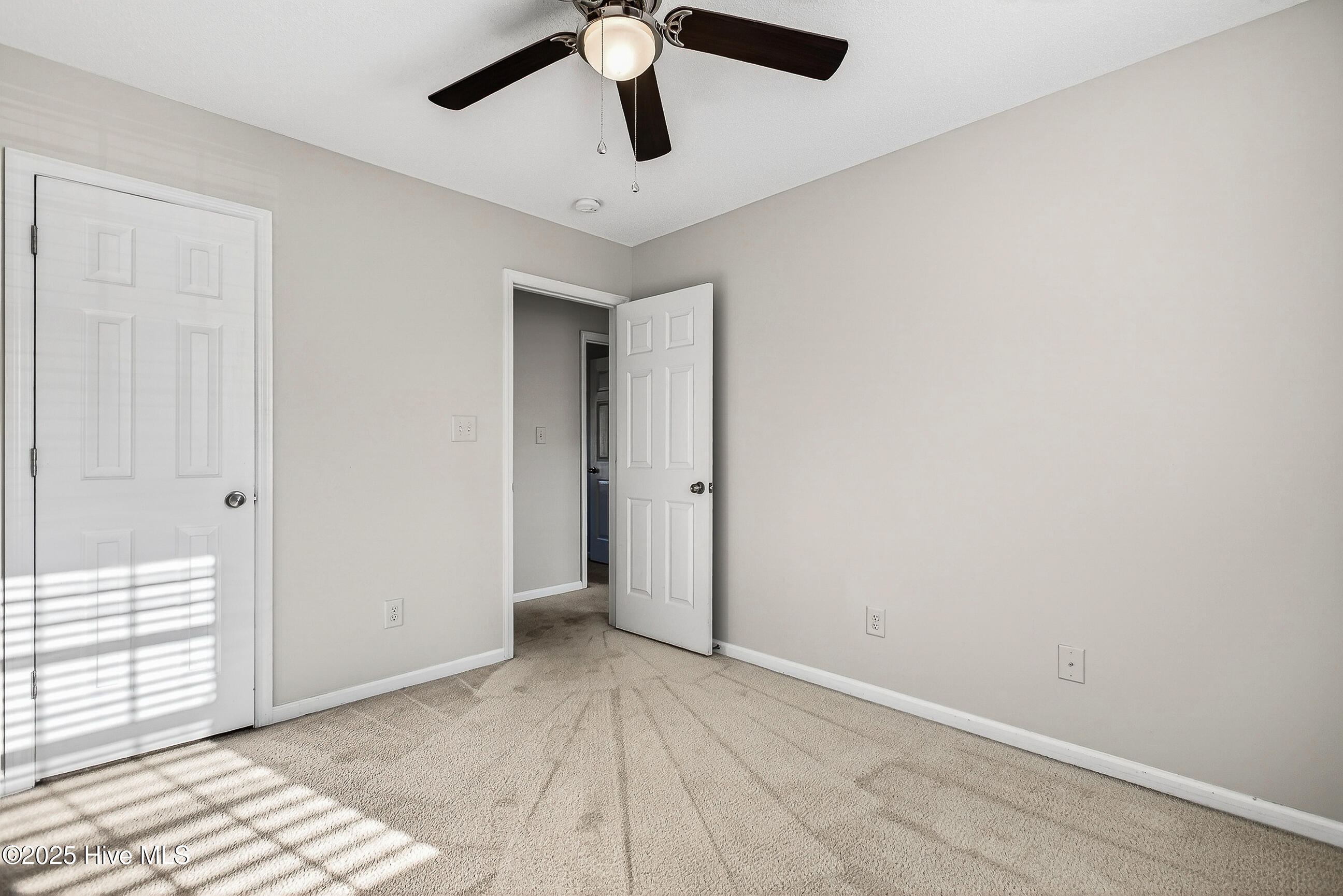 100546986 | Photo 22