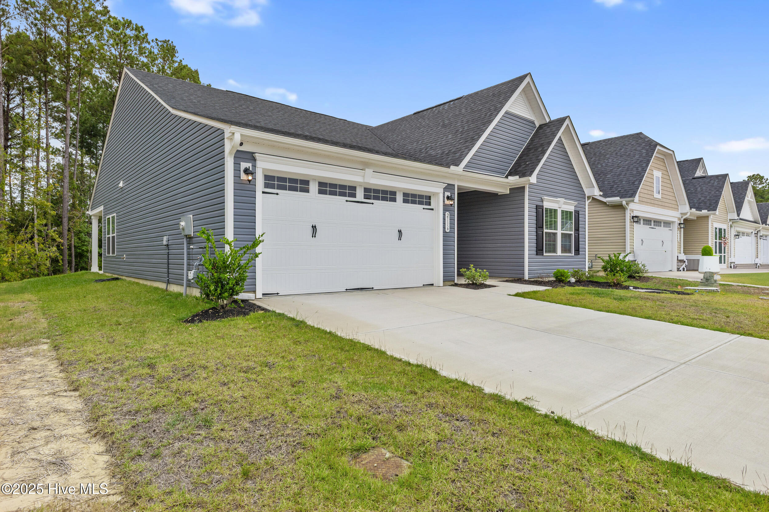 100530232 | Photo 33