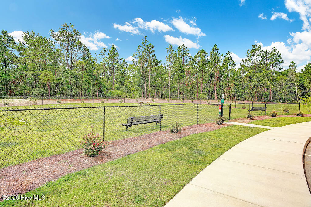 100565094 | Photo 47