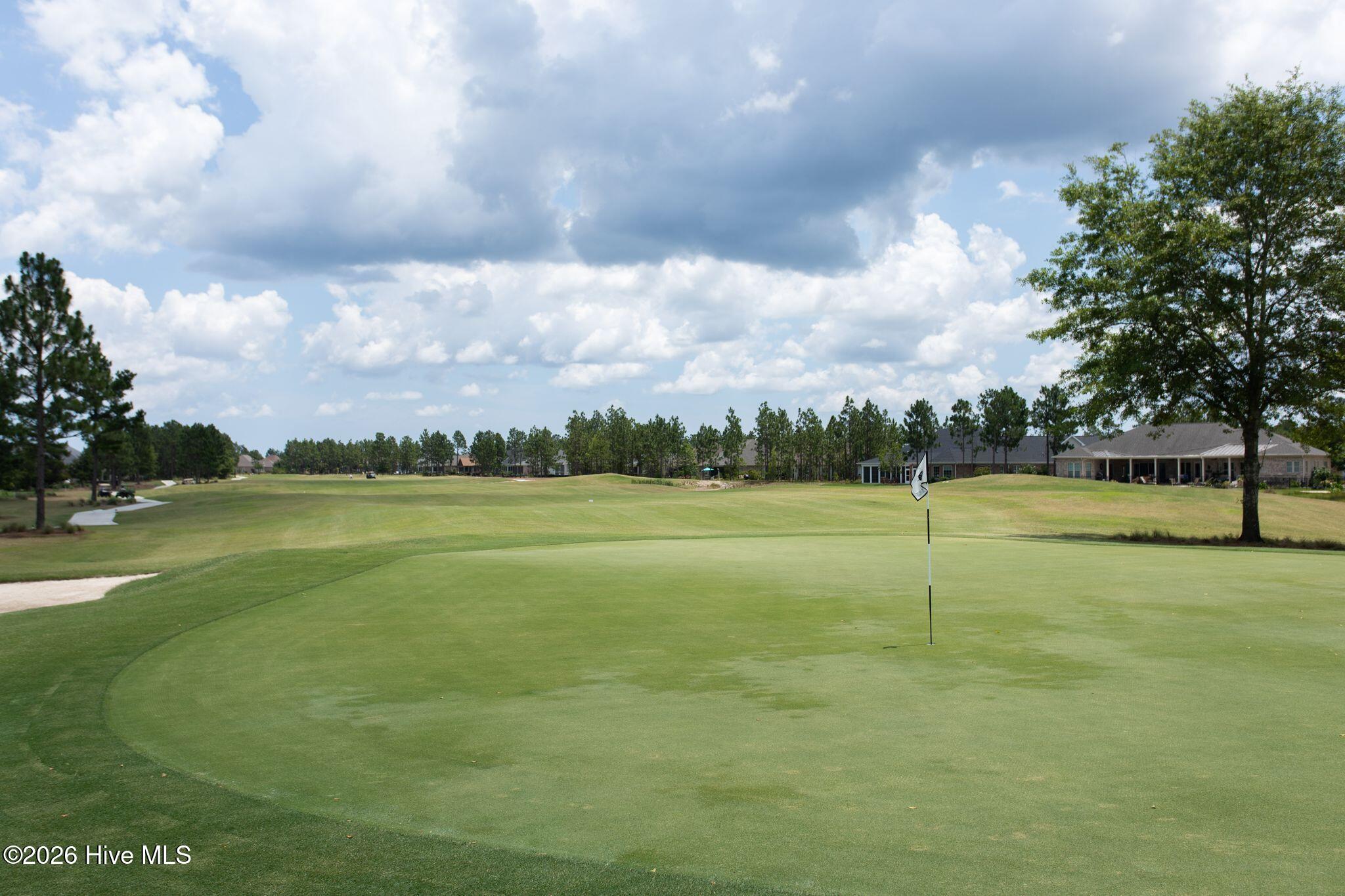 100566081 | Photo 53