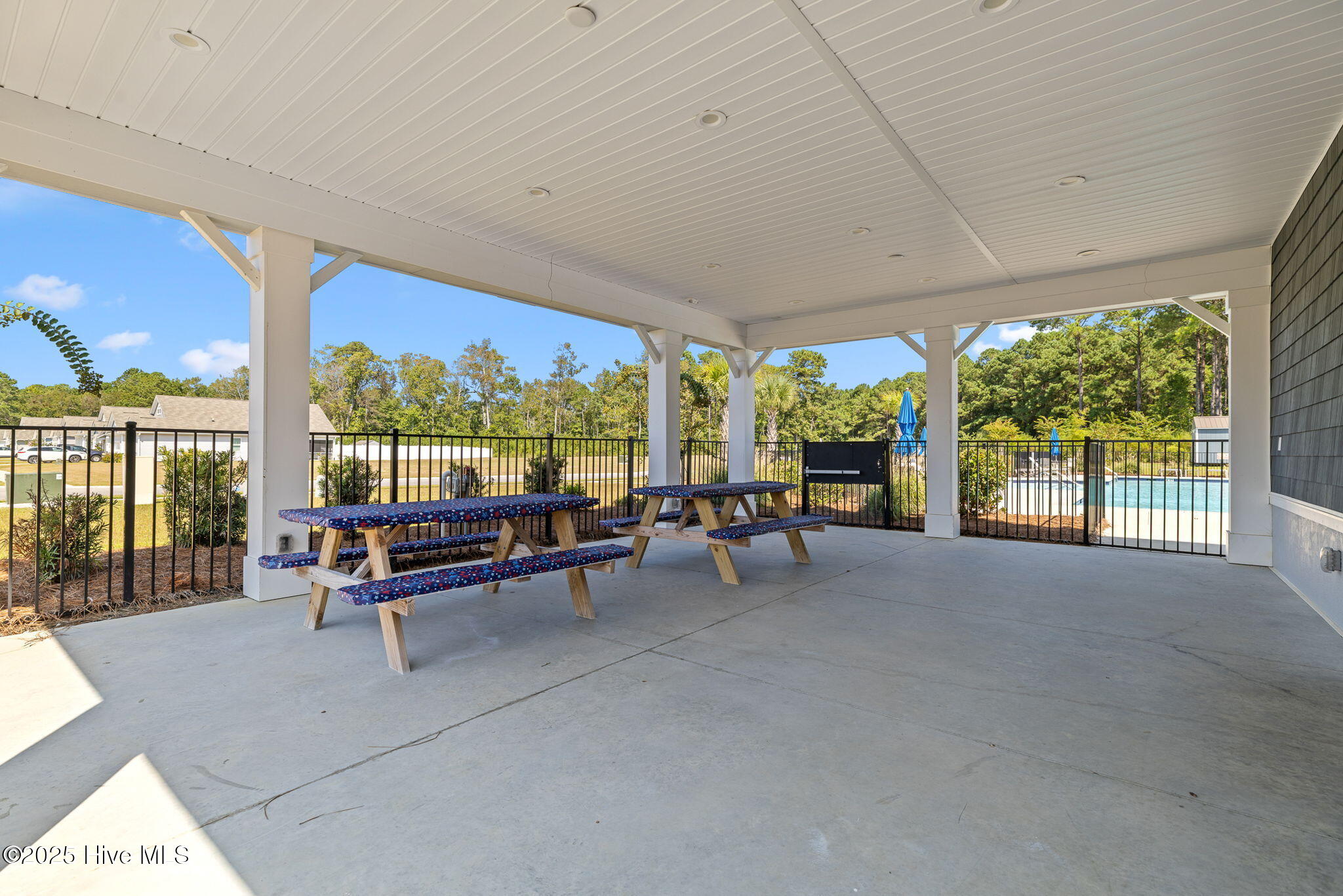 100531495 | Photo 38