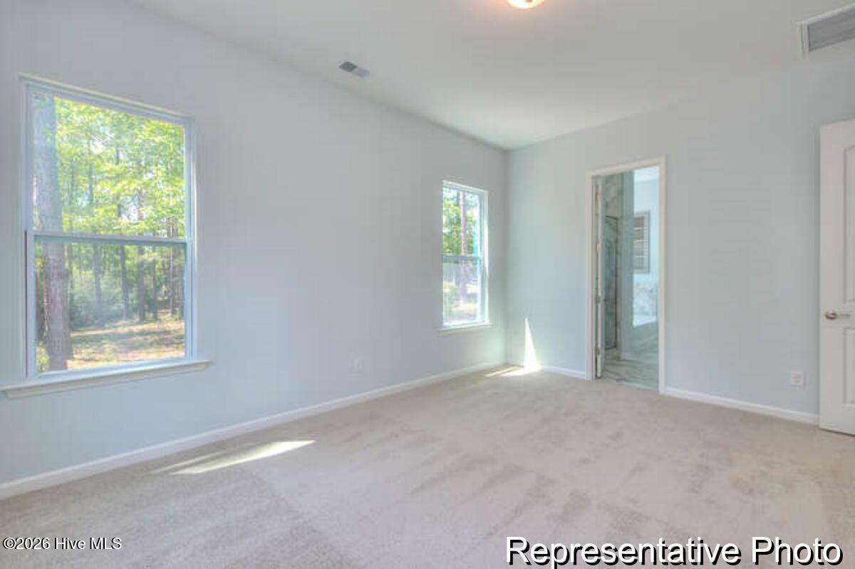 100563715 | Photo 22