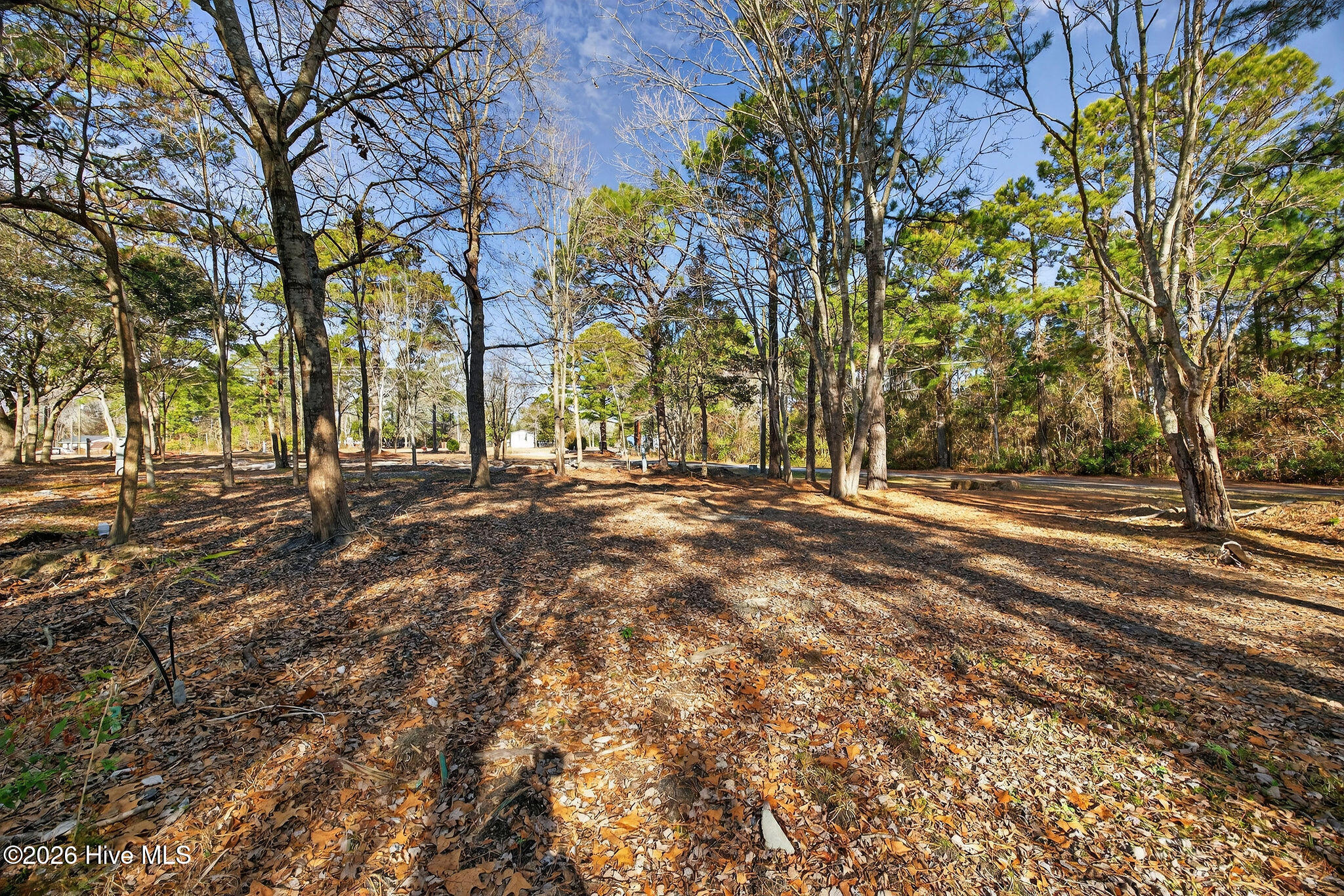 100551489 | Photo 21