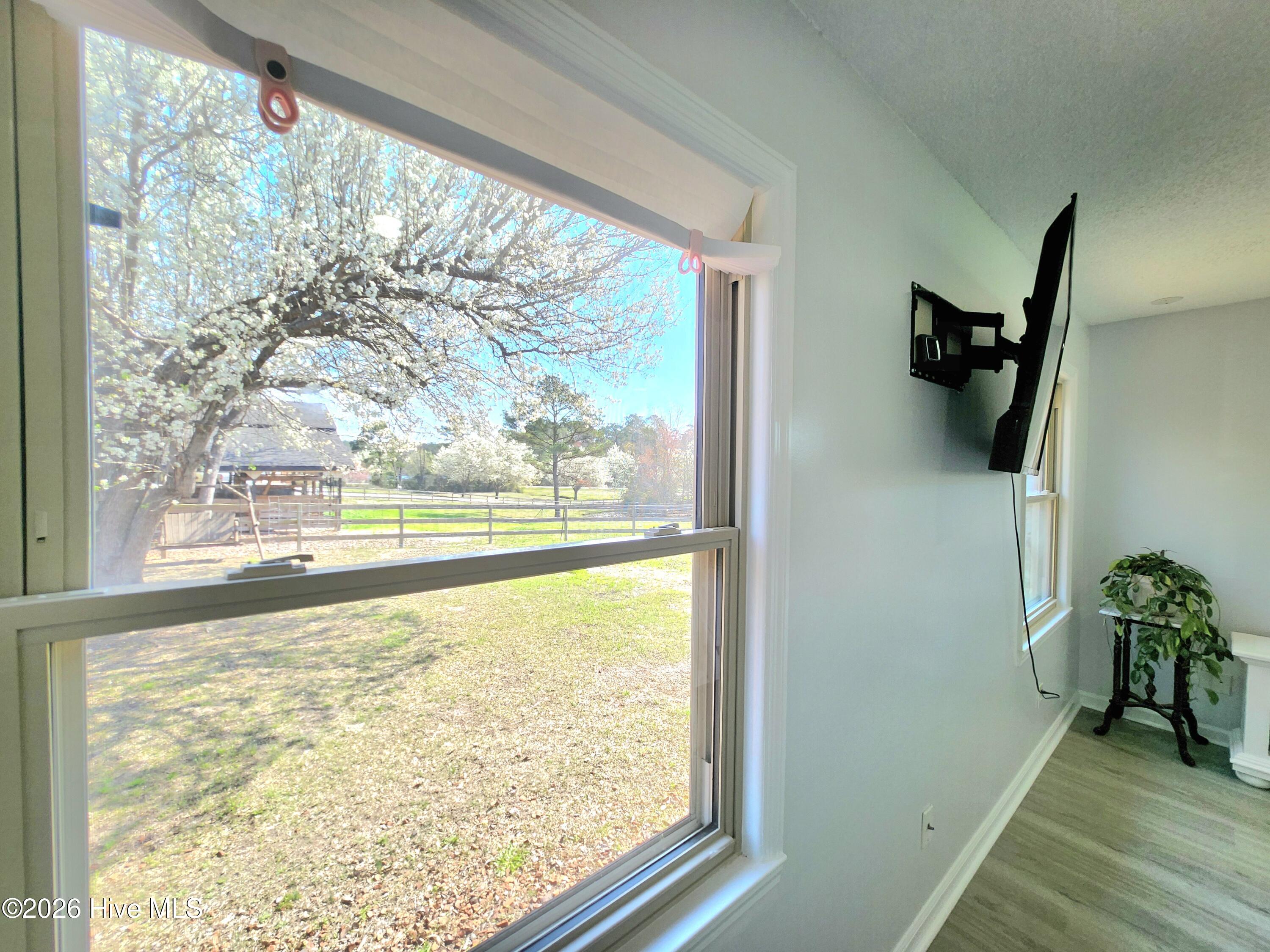 100563427 | Photo 16