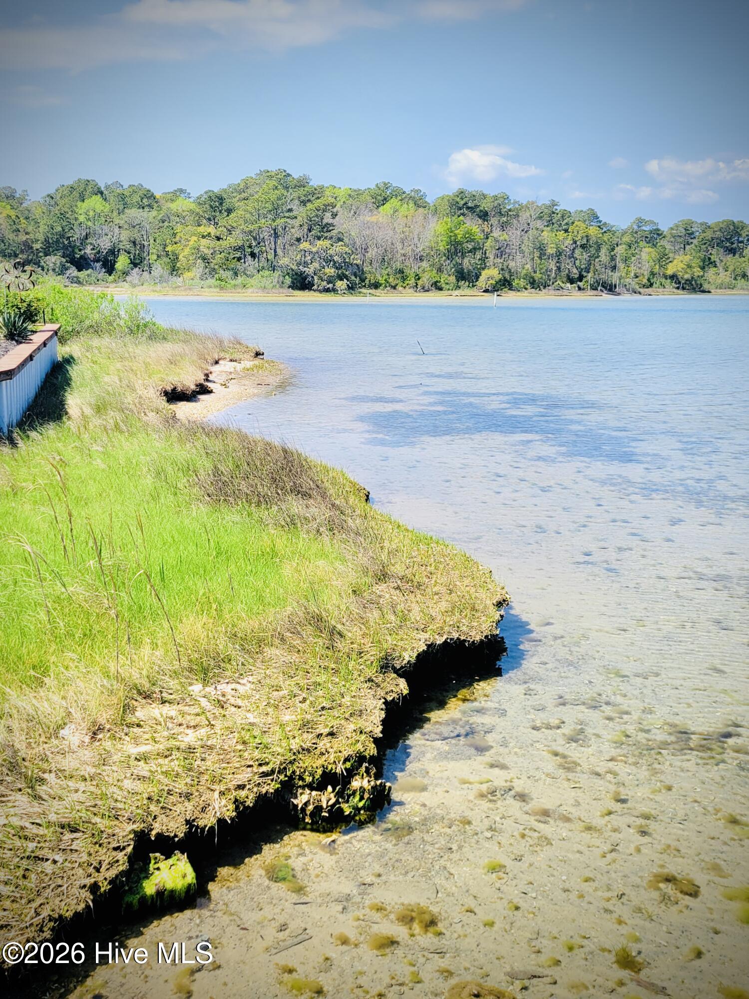 100565718 | Photo 33