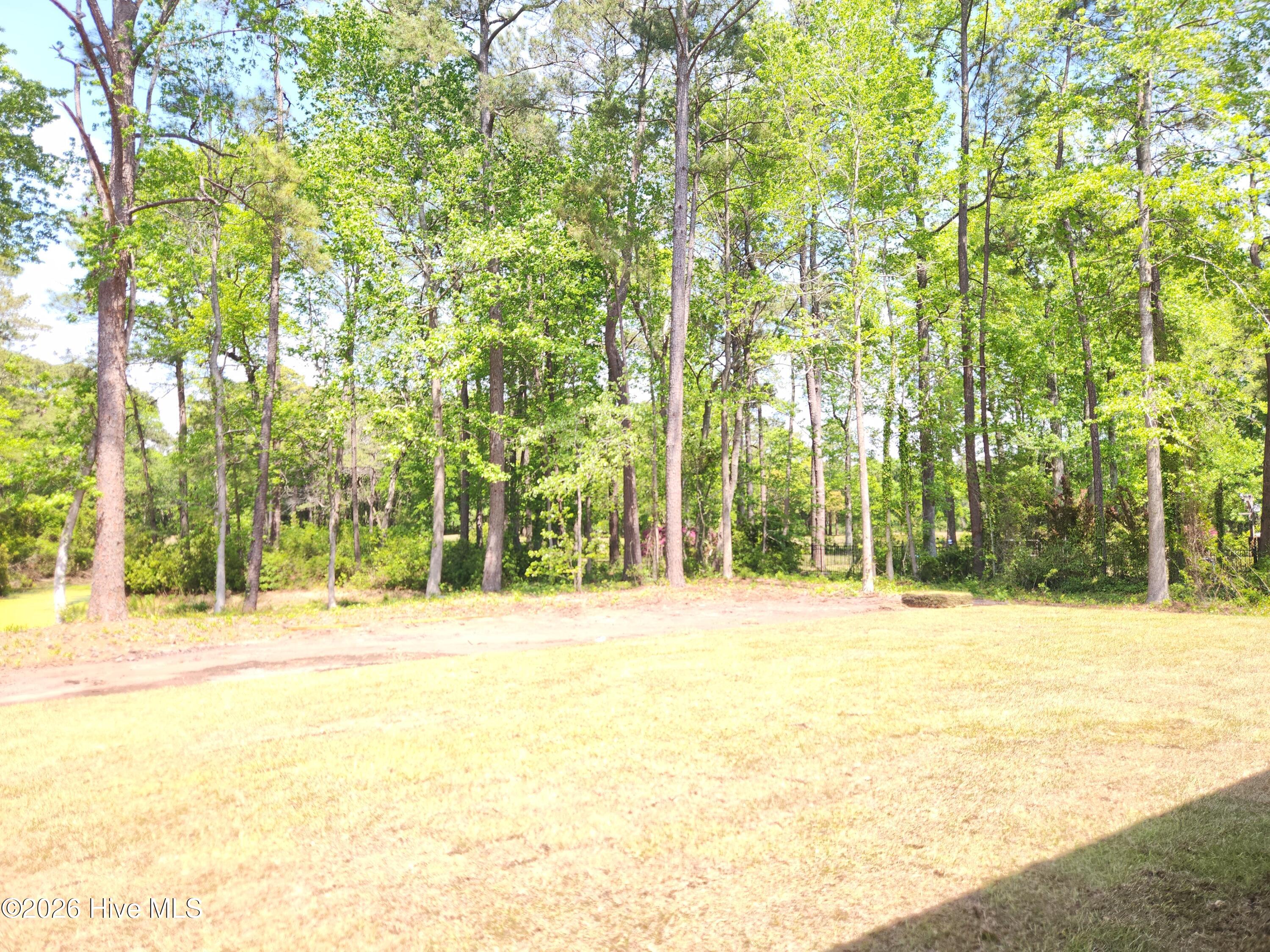 100567730 | Photo 45