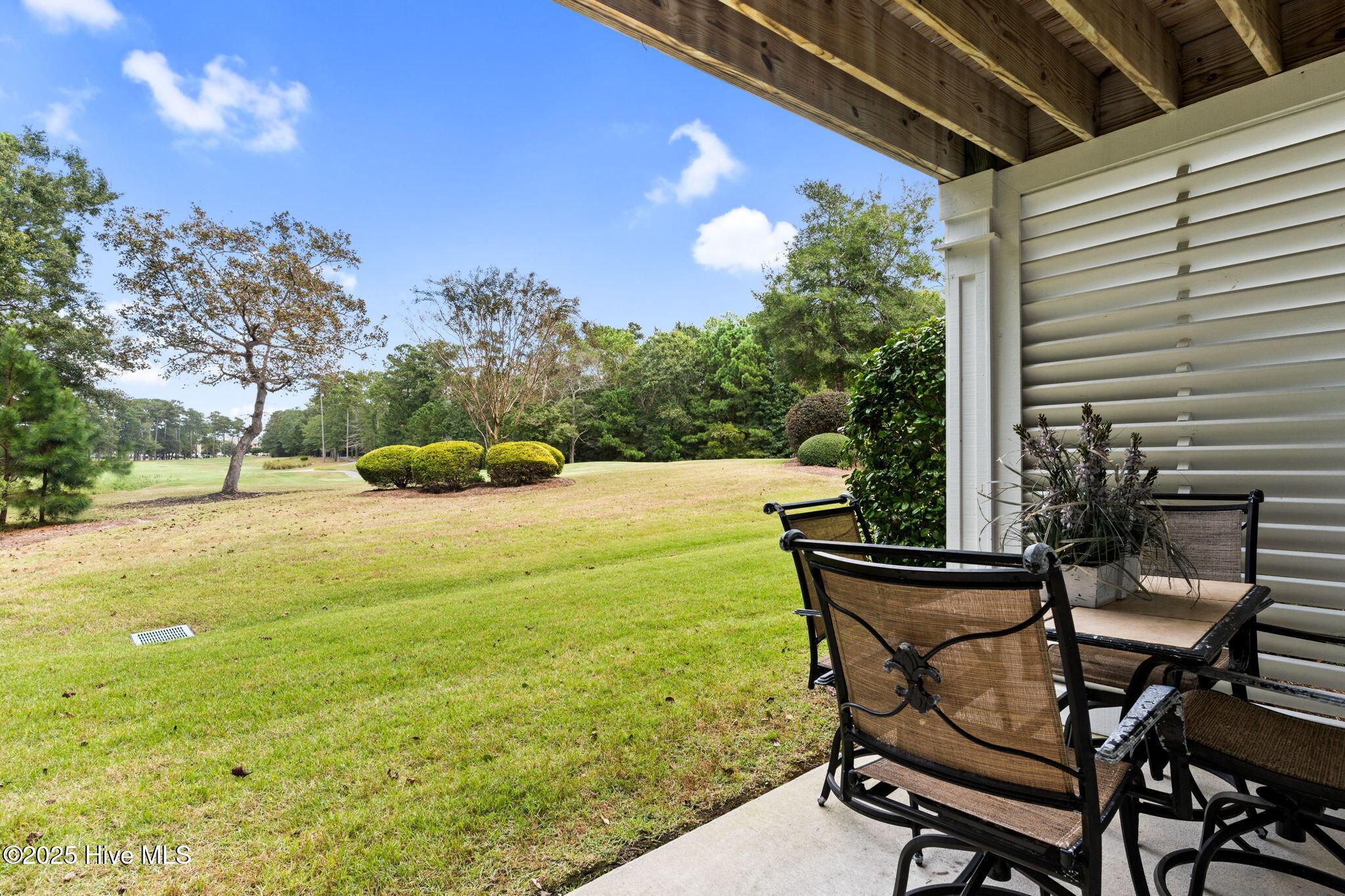 100534473 | Photo 35