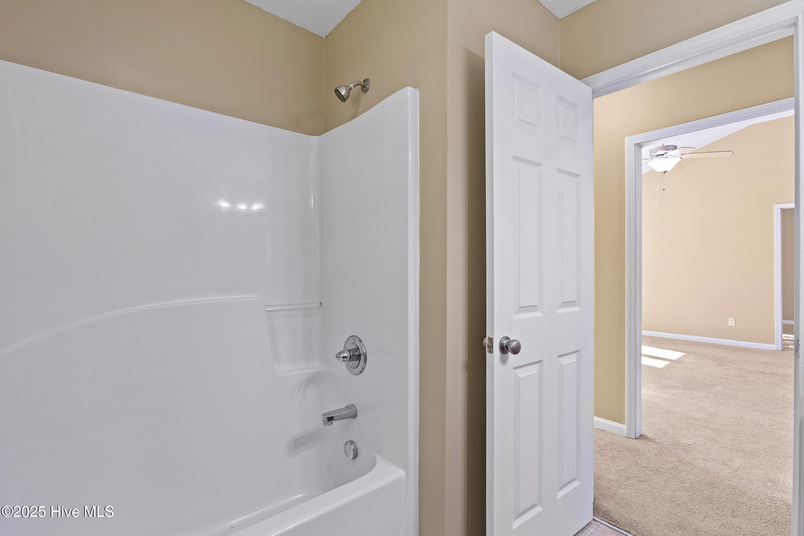 100541118 | Photo 18