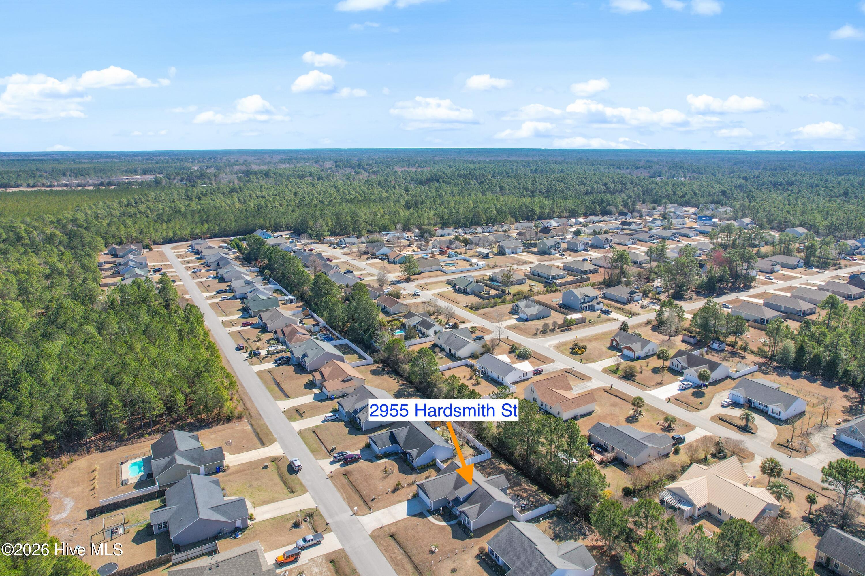 100556546 | Photo 46