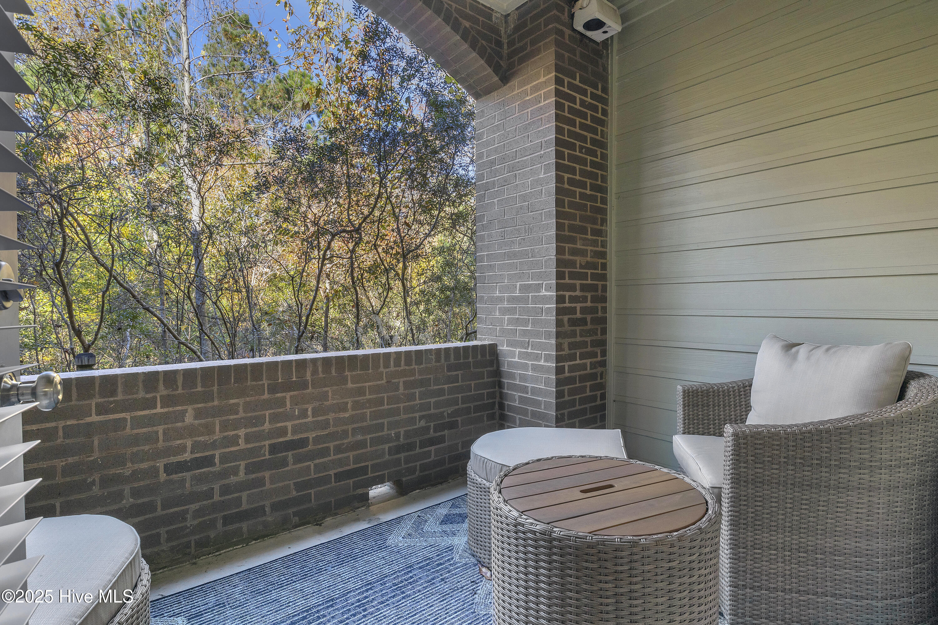 100541571 | Photo 24