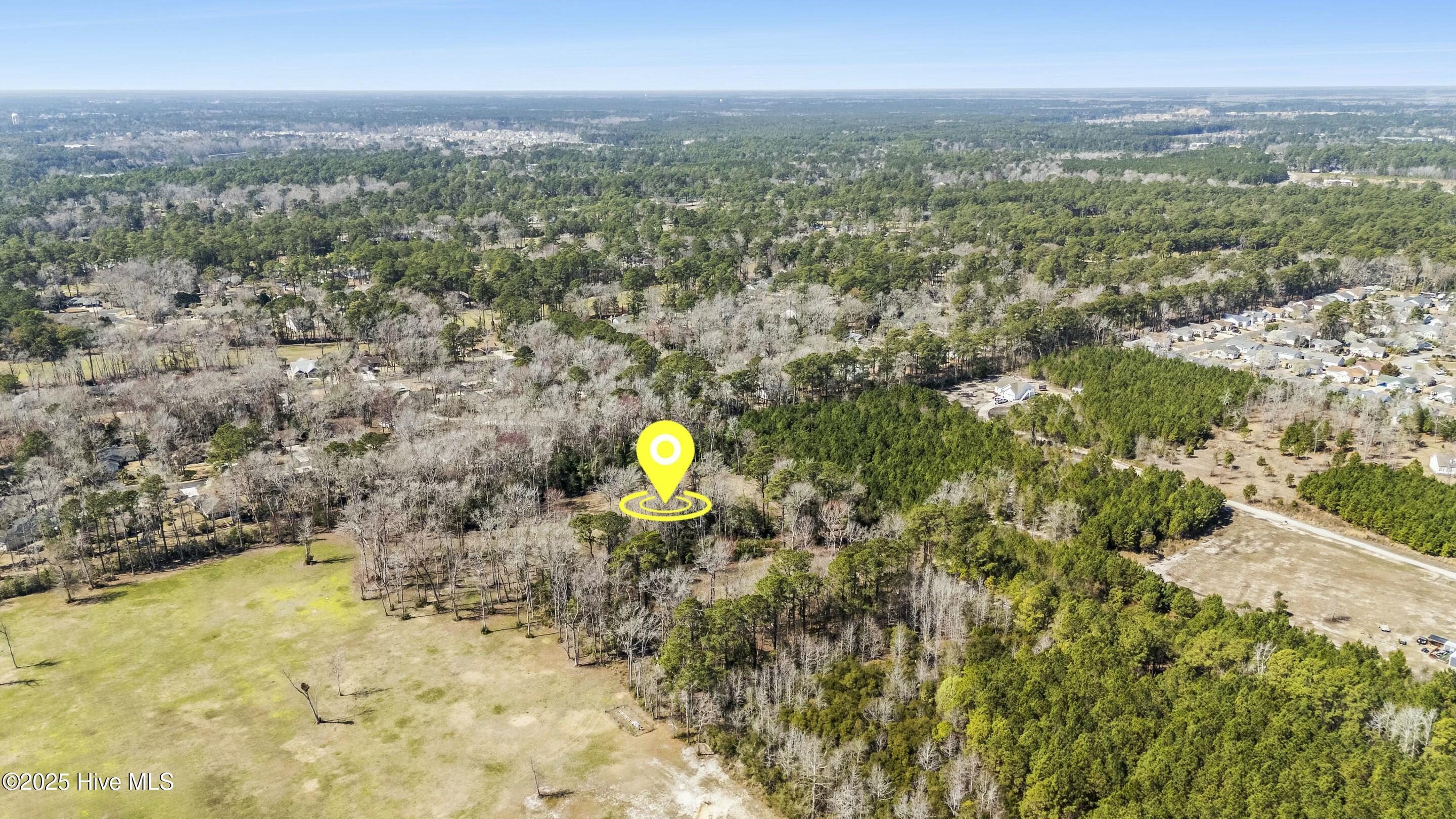 100495483 | Photo 17