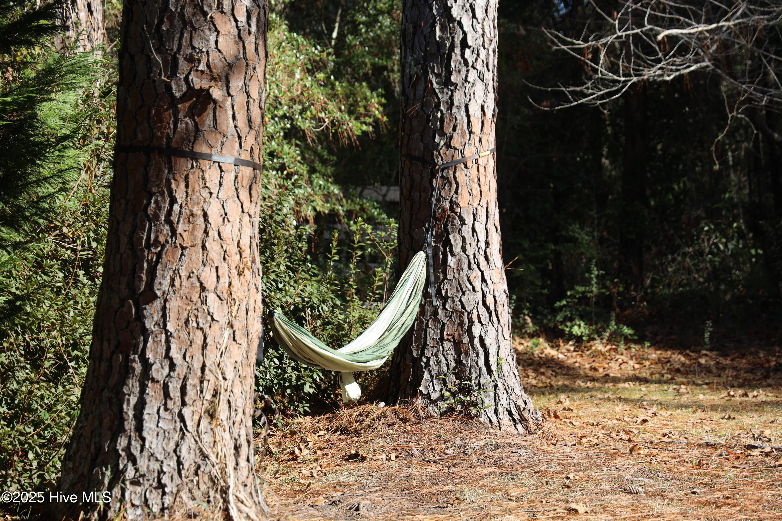 100546287 | Photo 53