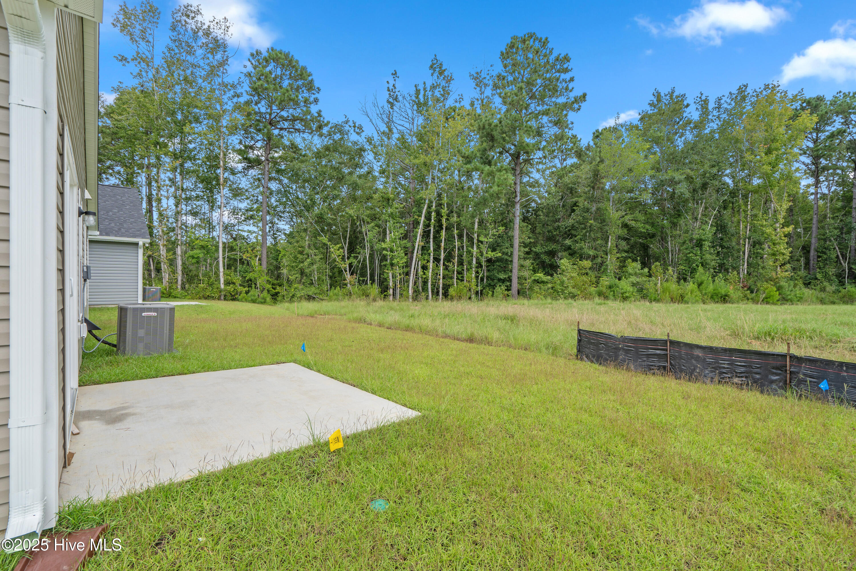 100526772 | Photo 29