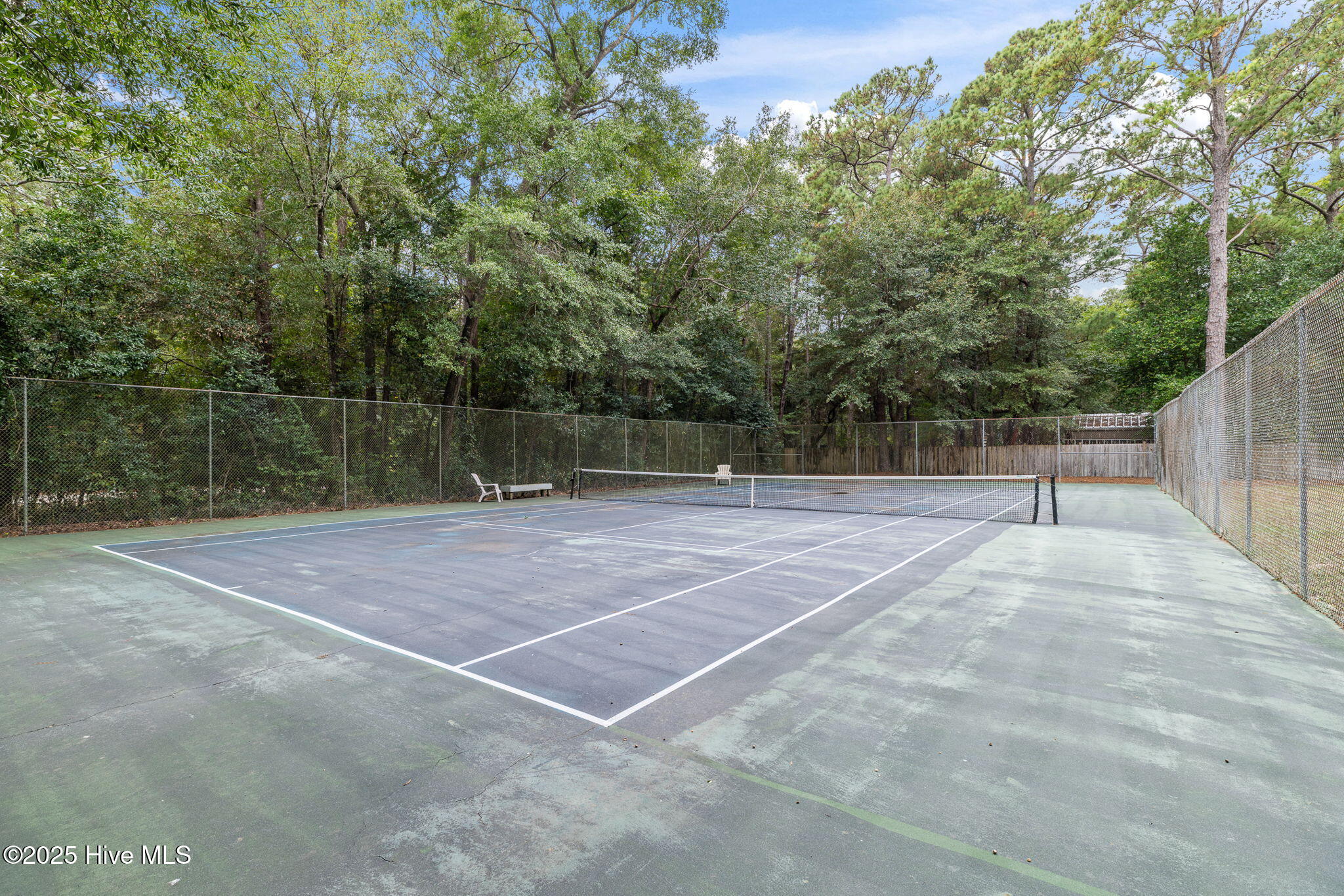 100548245 | Photo 63