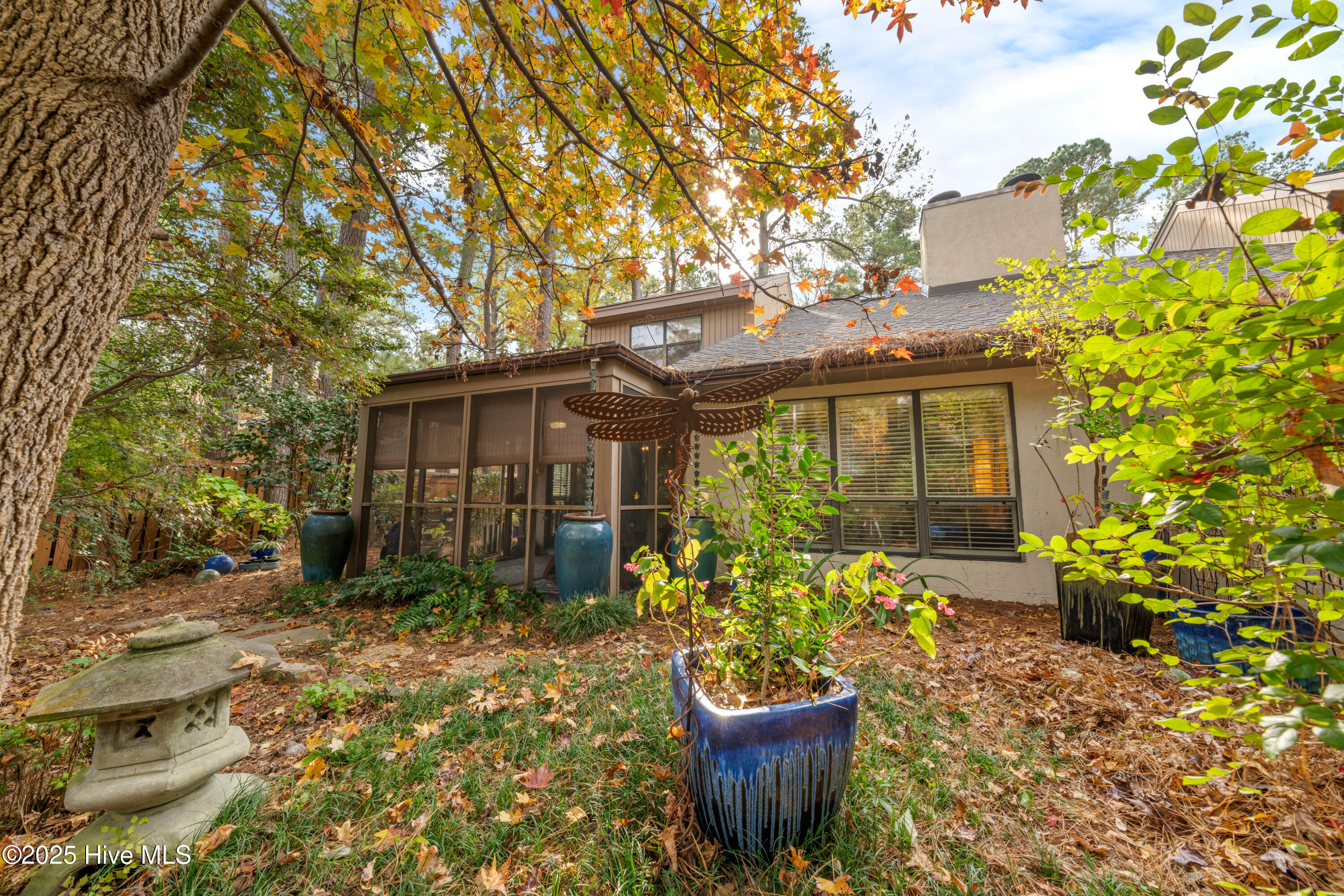 100543776 | Photo 33