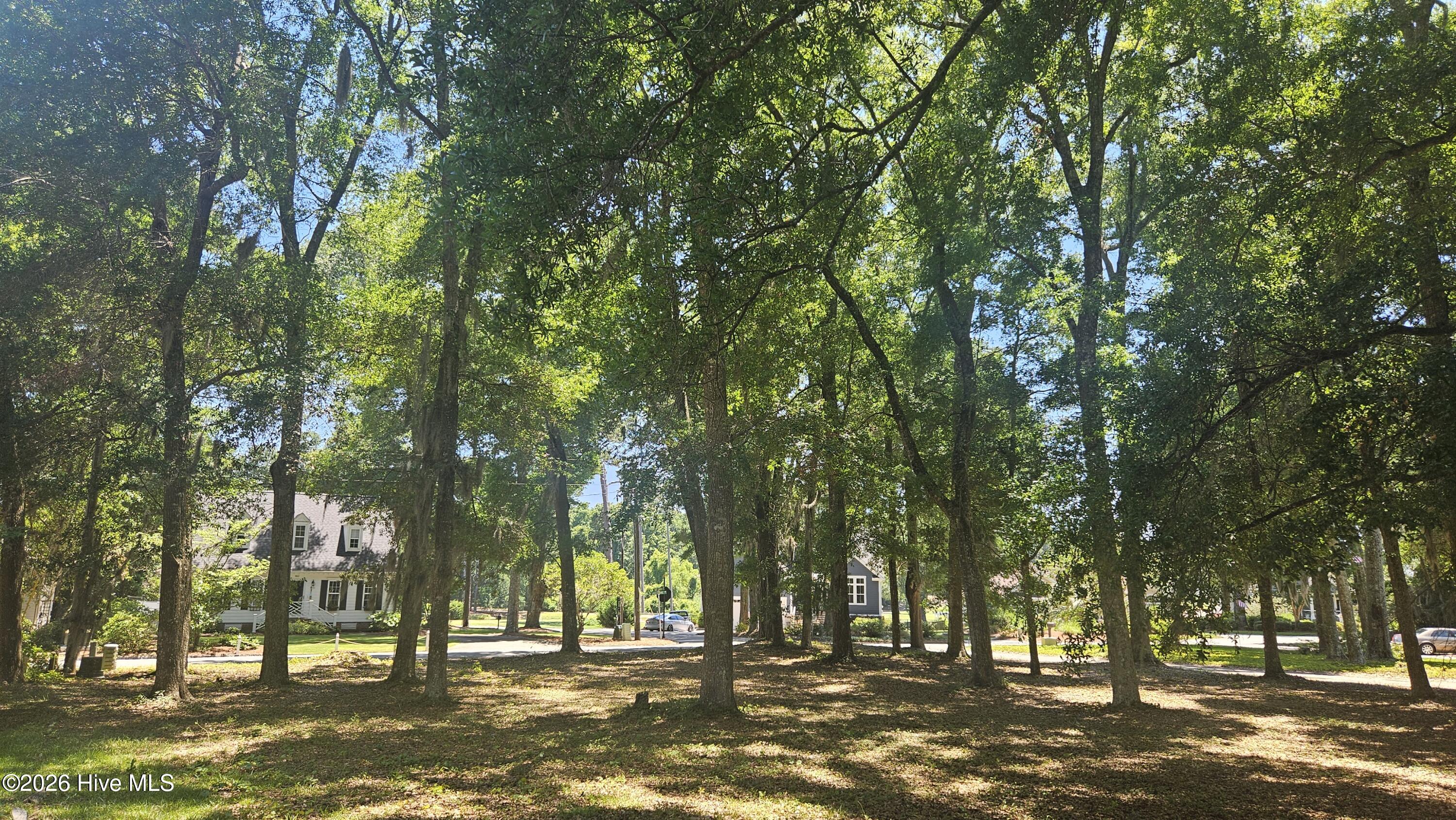 100579636 | Photo 14