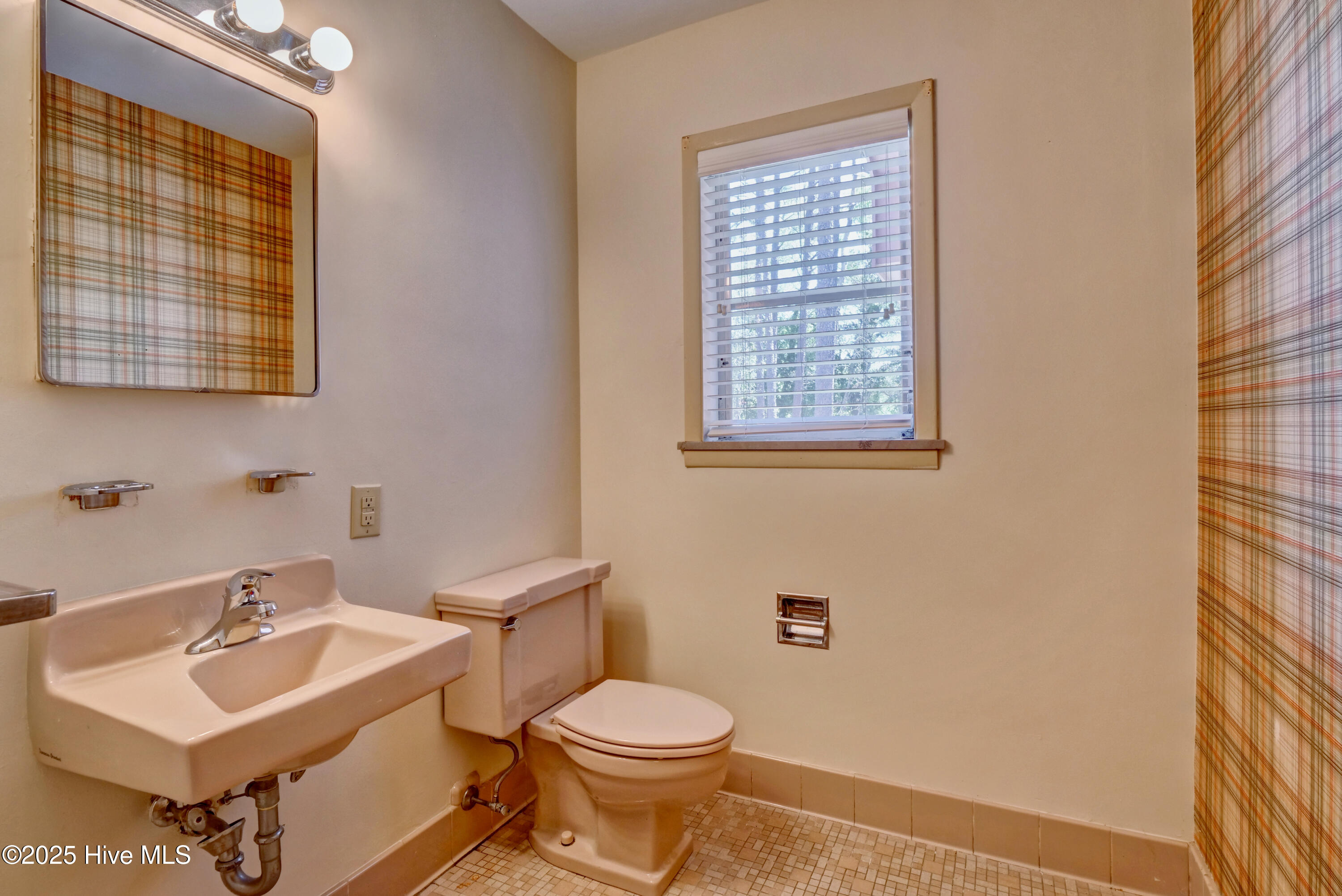 100536317 | Photo 19